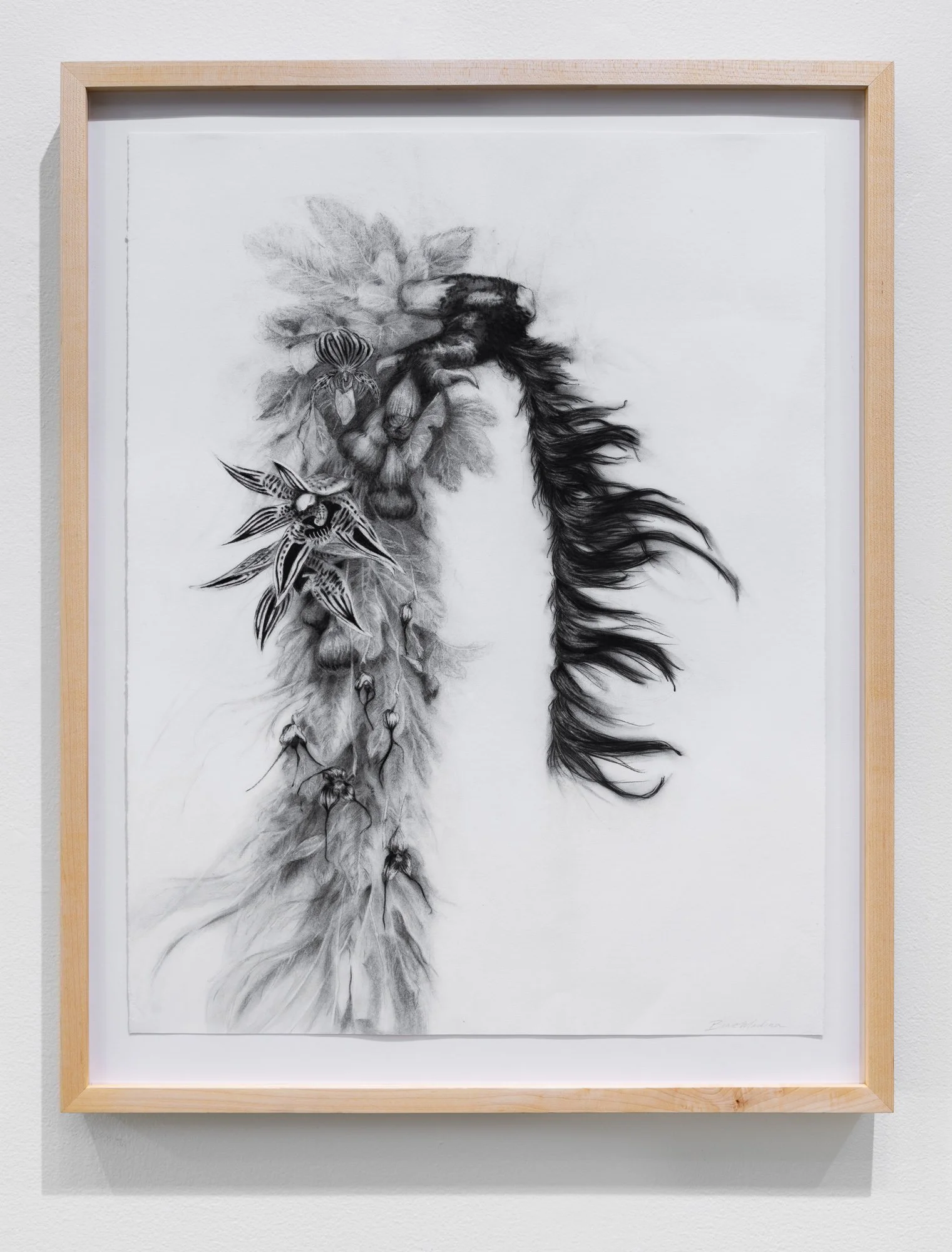 Affinity, 2026, exhibition installation view