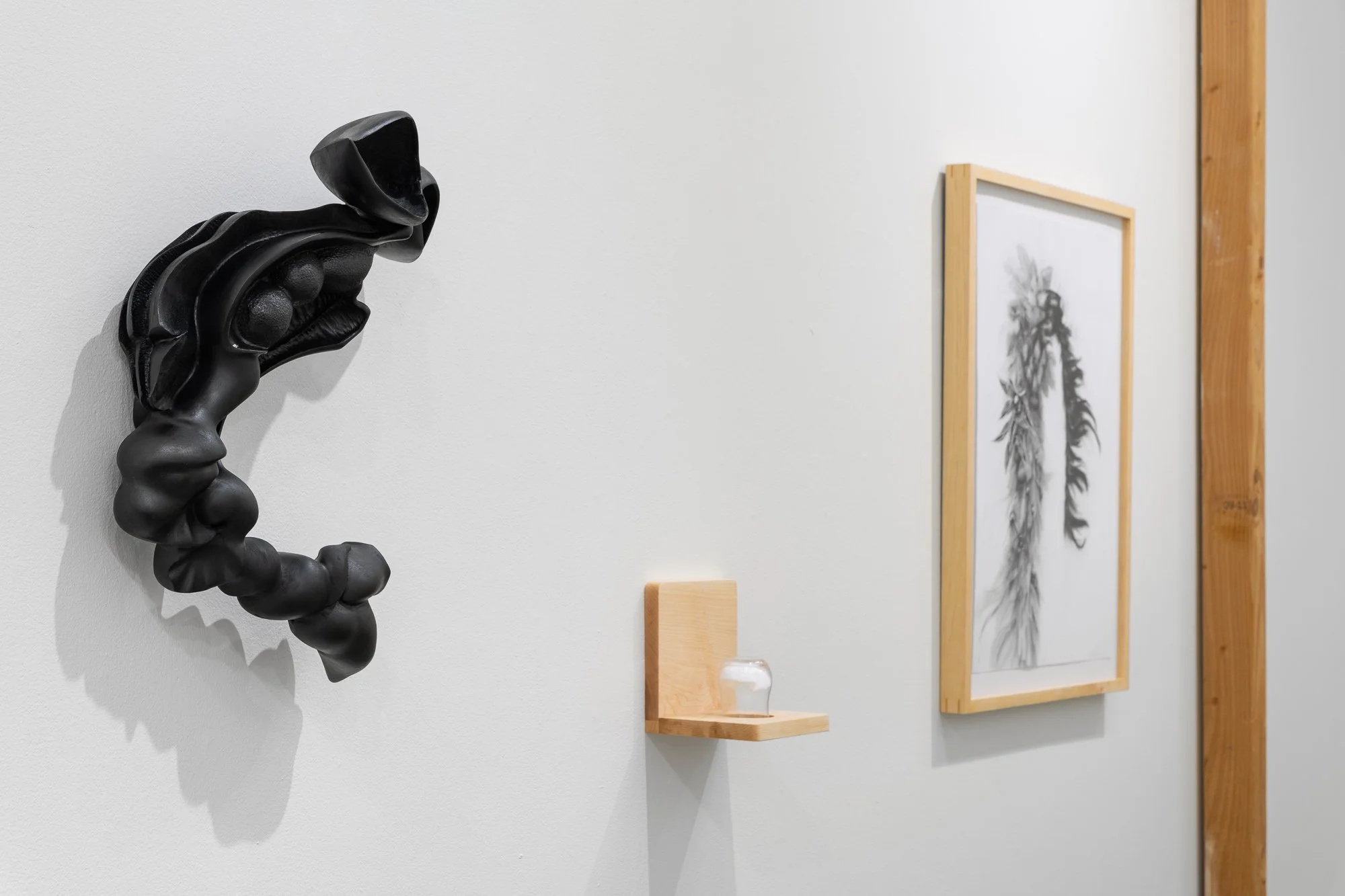 Affinity, 2026, exhibition installation view