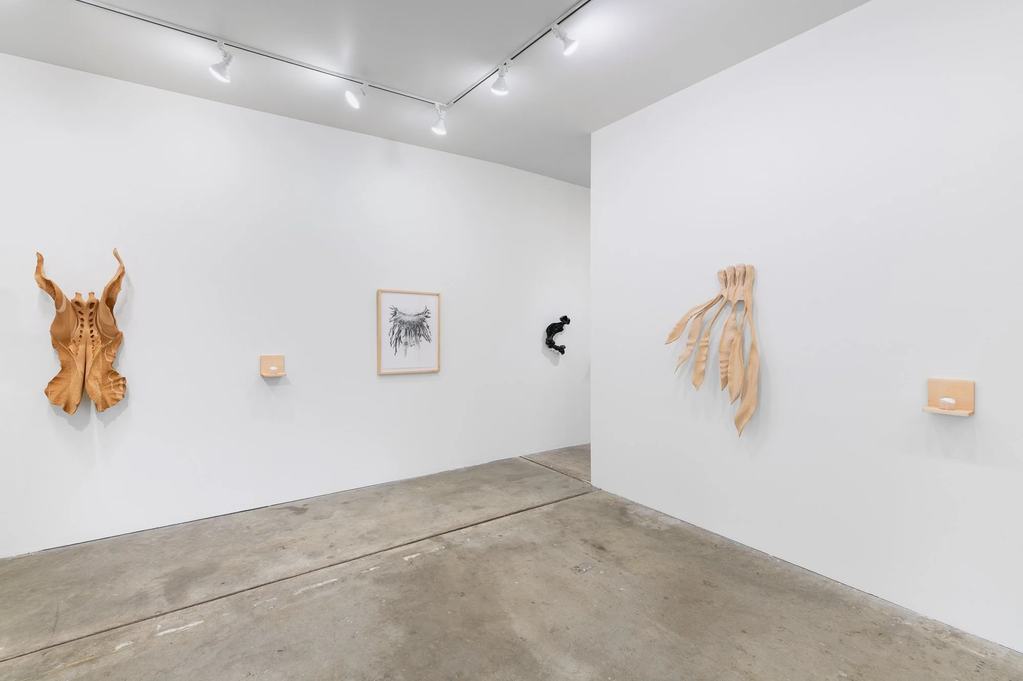 Affinity, 2026, exhibition installation view