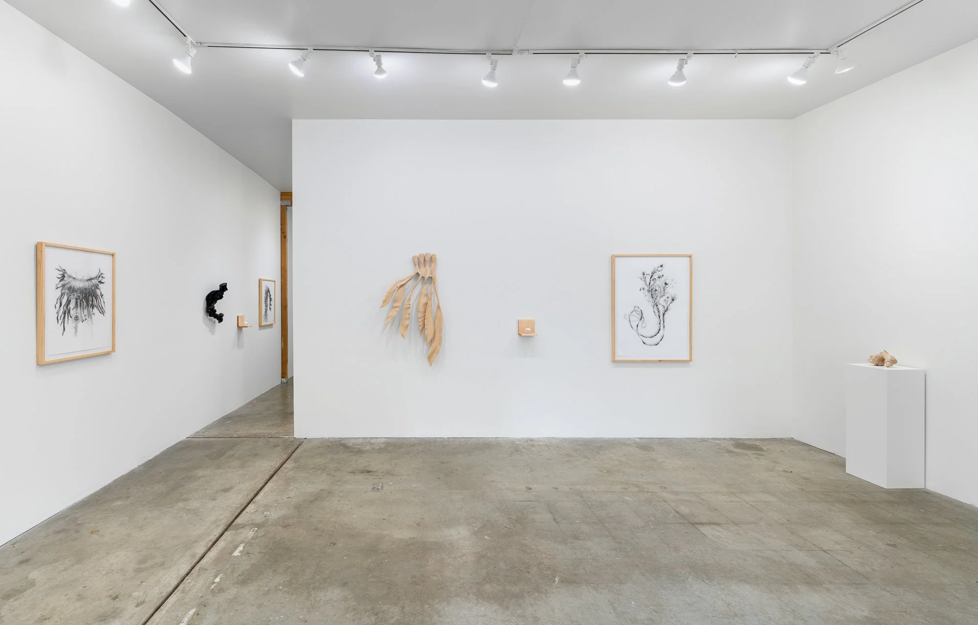 Affinity, 2026, exhibition installation view