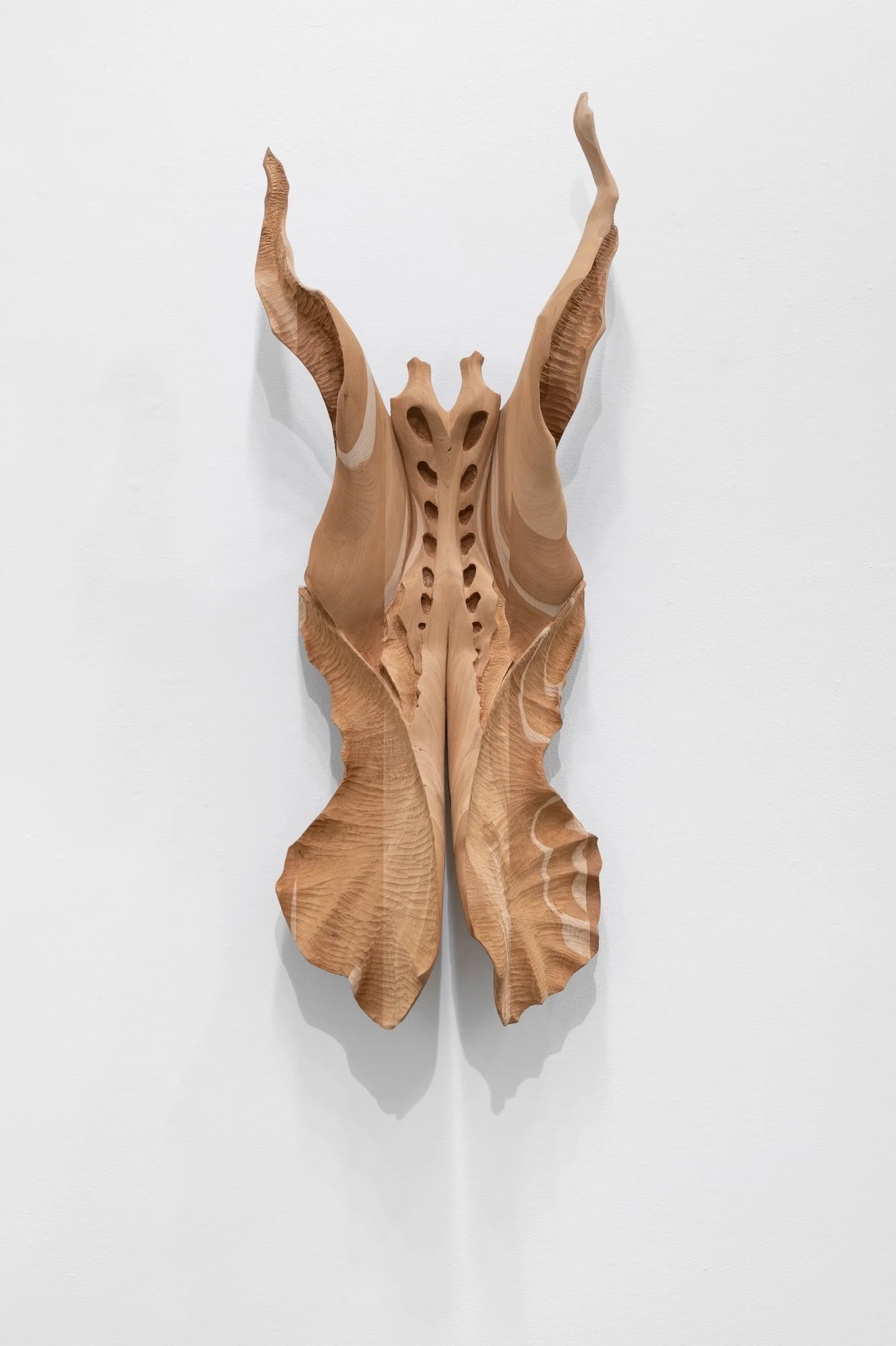 Affinity, 2026, exhibition installation view