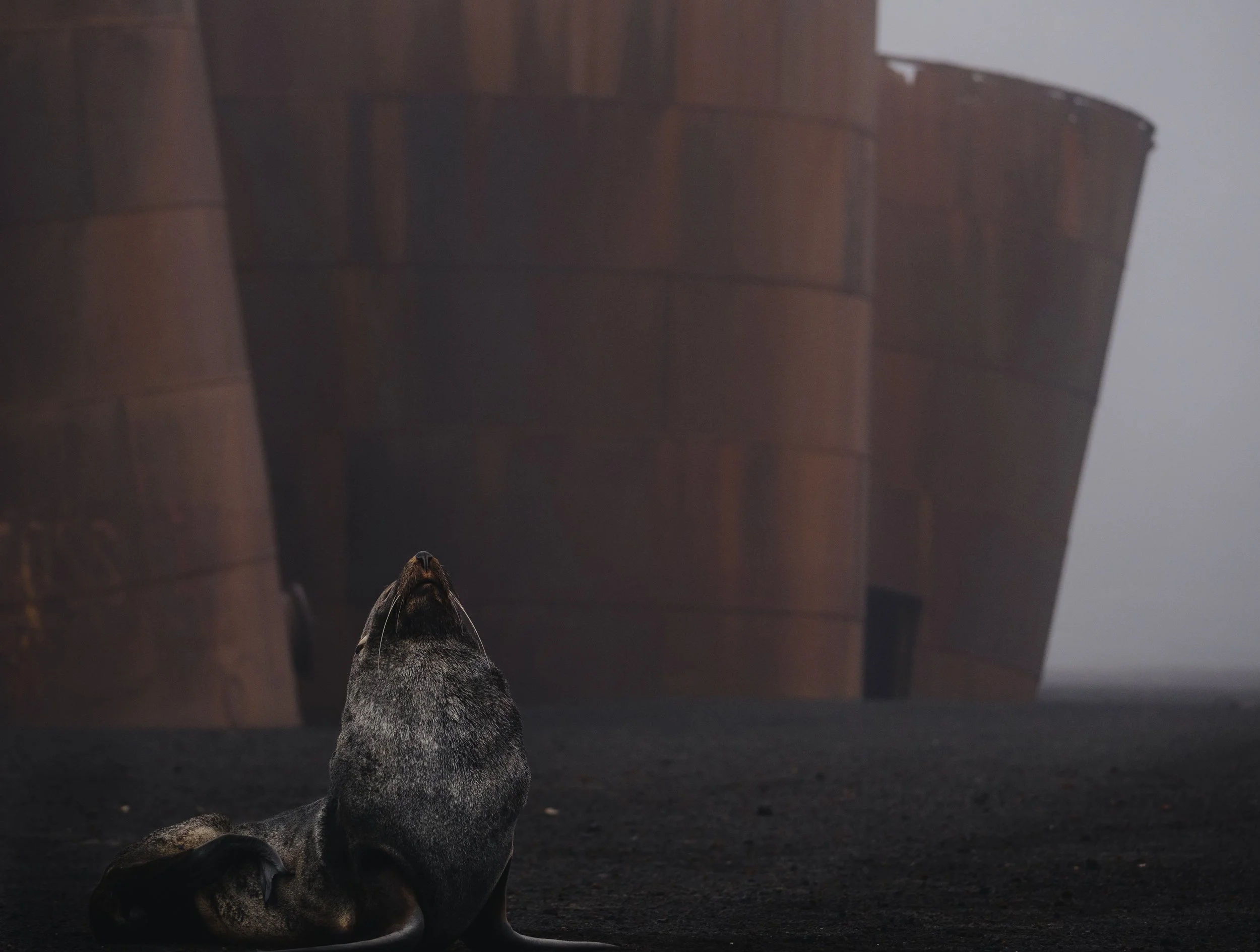 Mikael Härd-15.jpeg