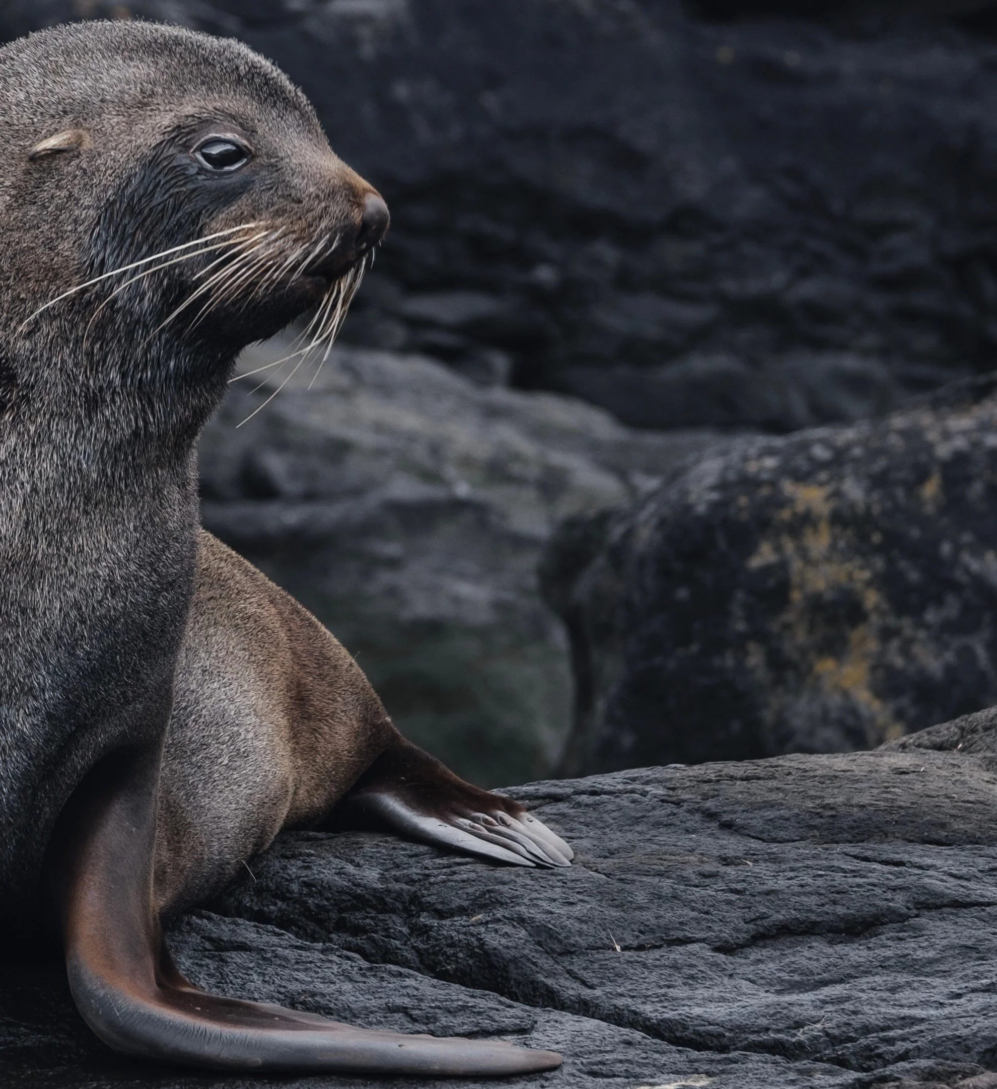 Mikael Härd-12.jpeg