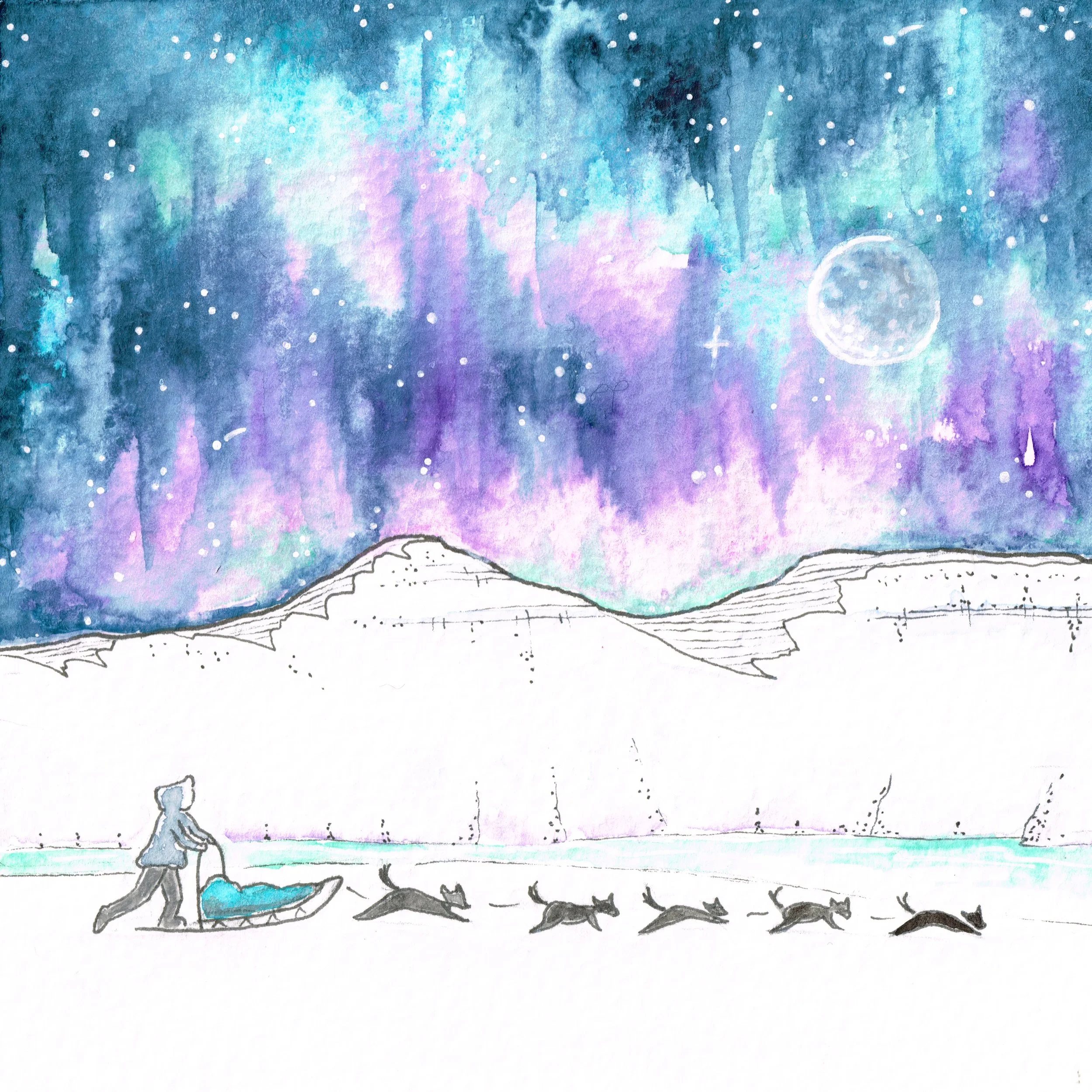 dog sled greeting card.jpeg