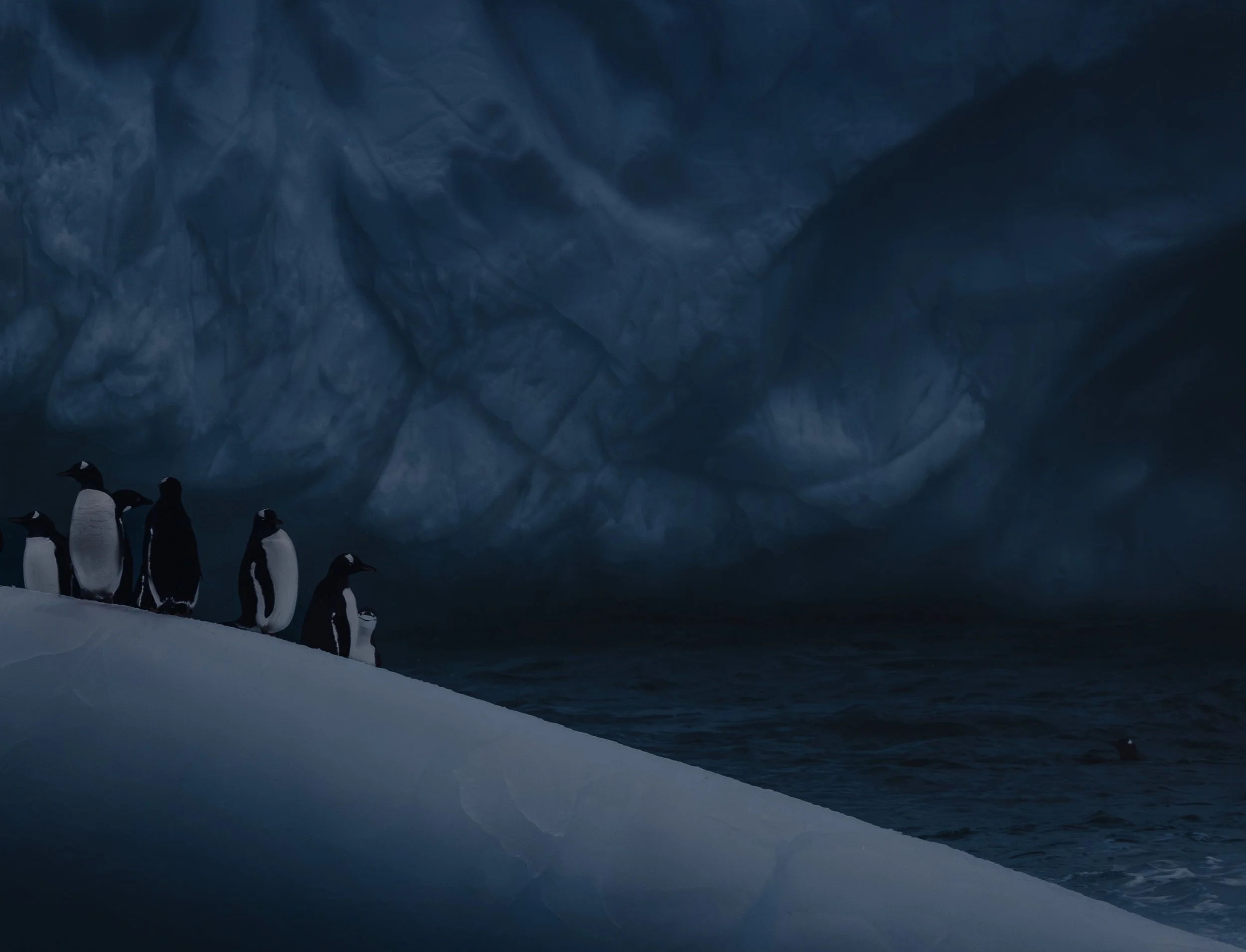 Mikael.Hard-3 2 (1).jpeg