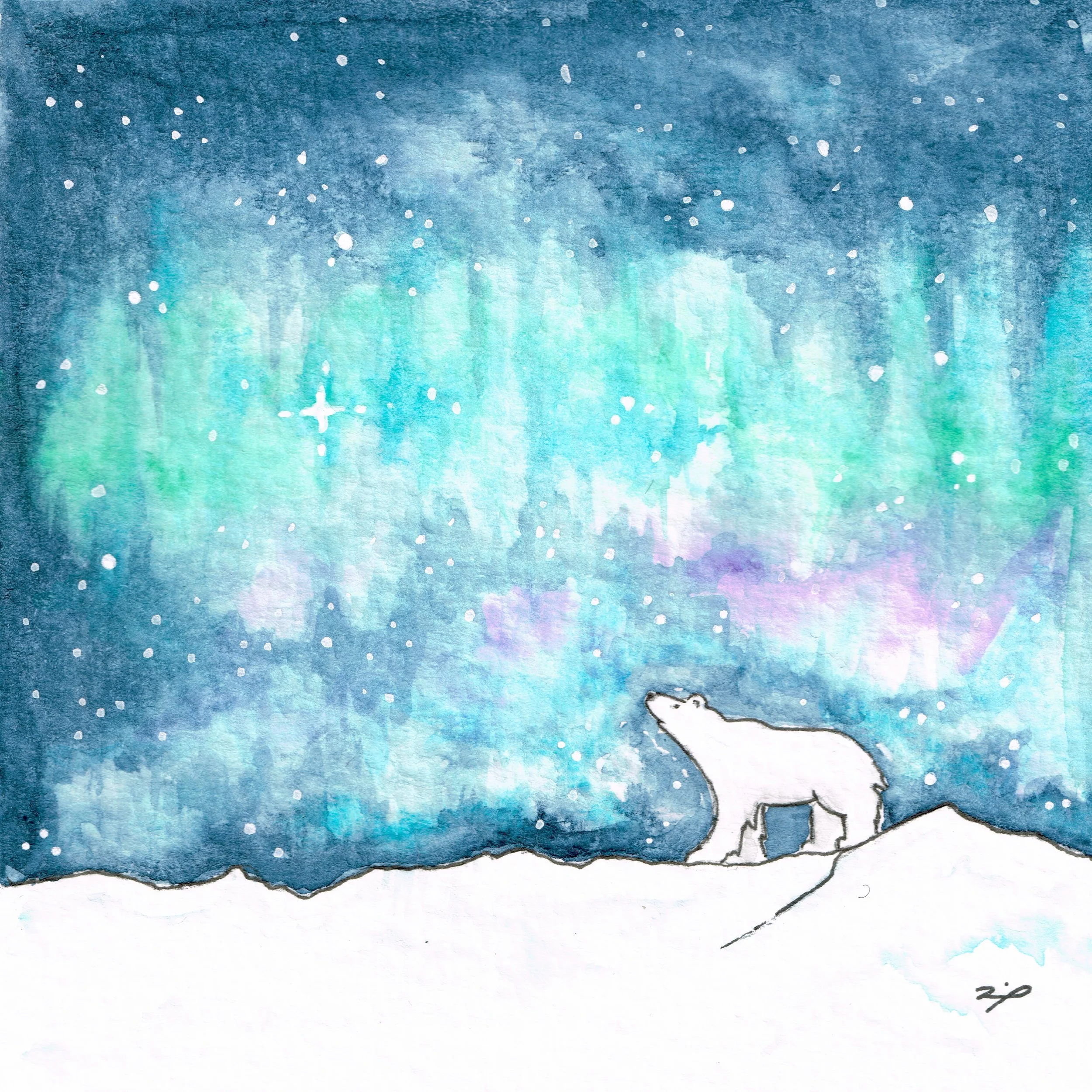 high res little bear northern lights.jpeg