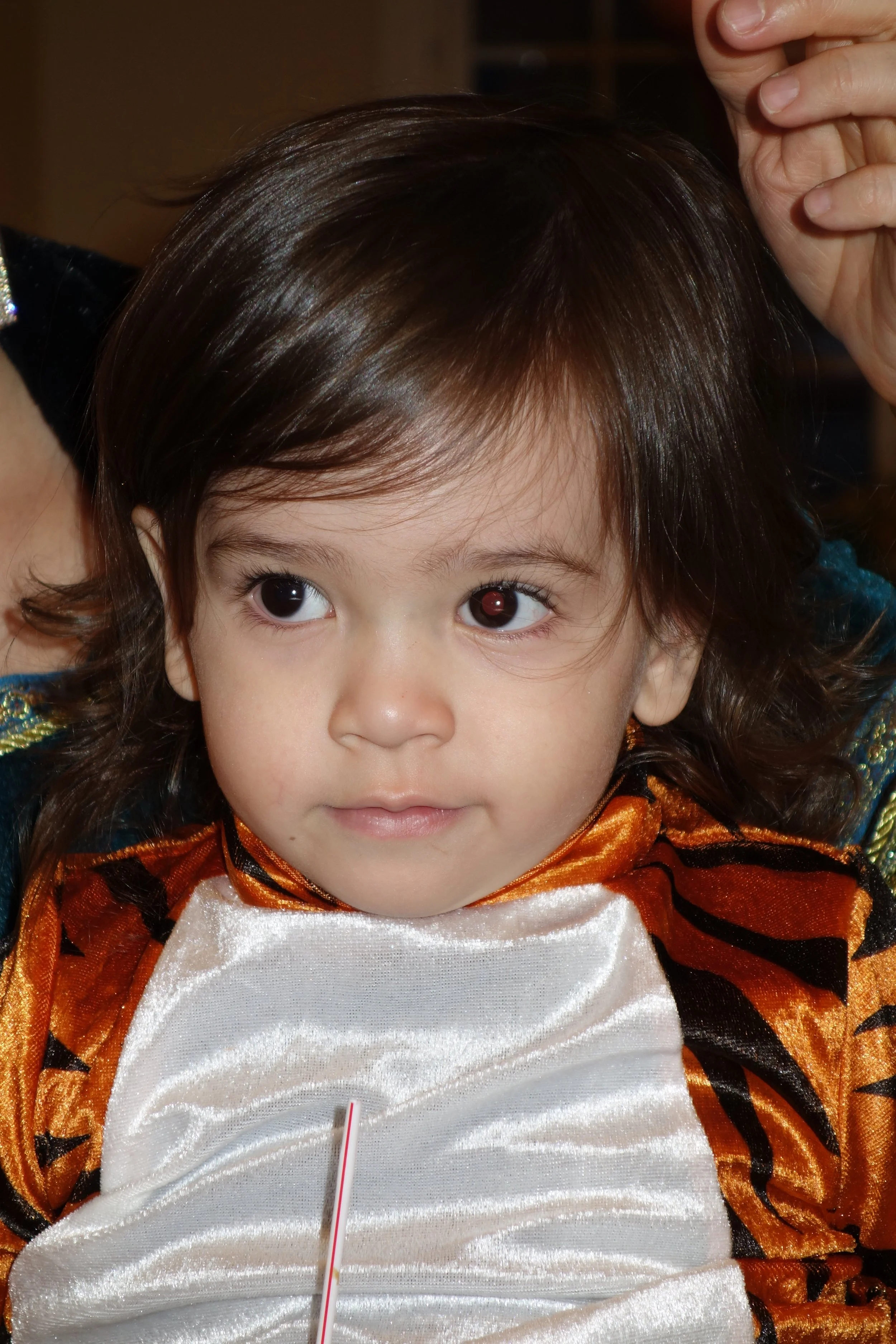 DSC00834.JPG