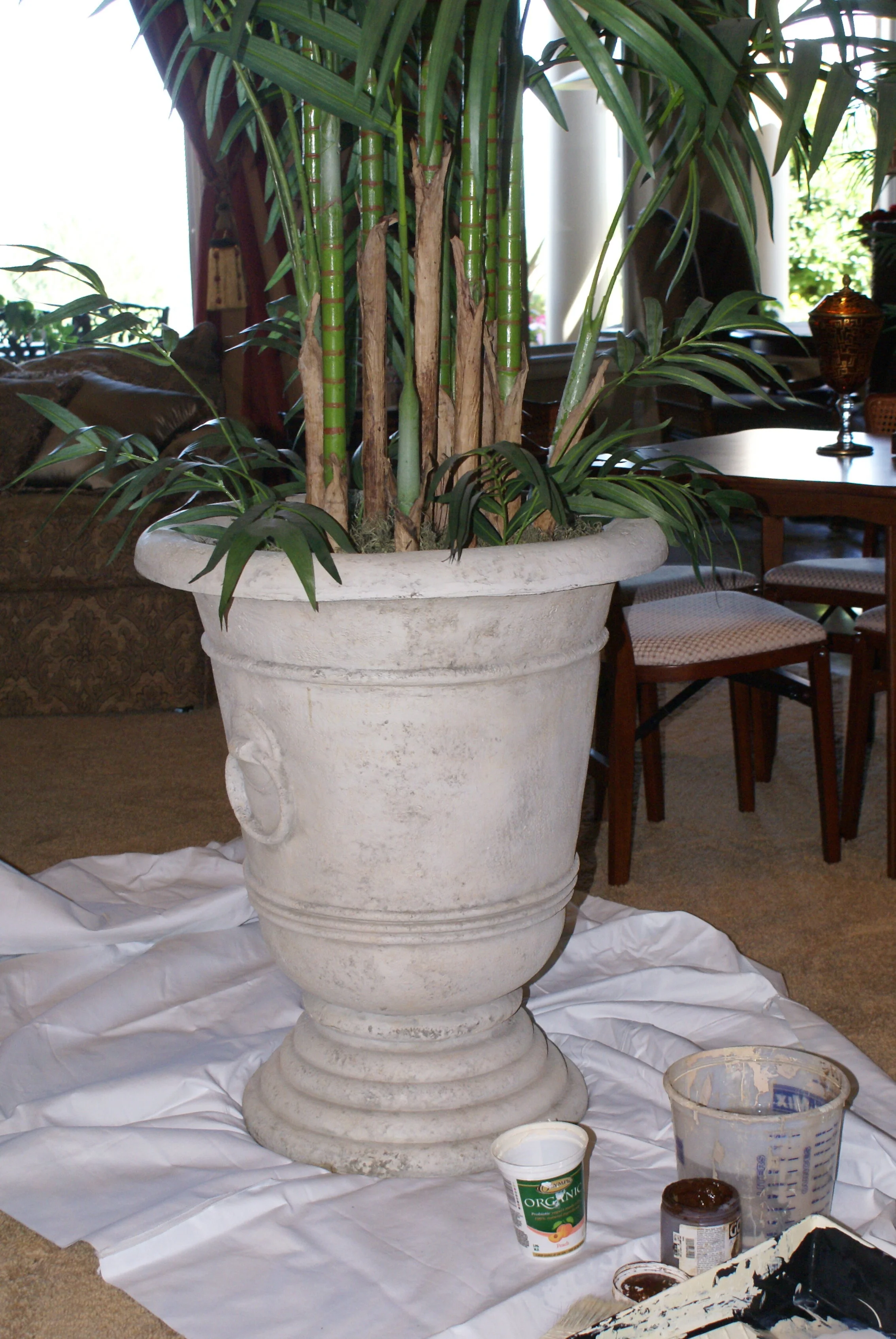 DSC08091.jpg