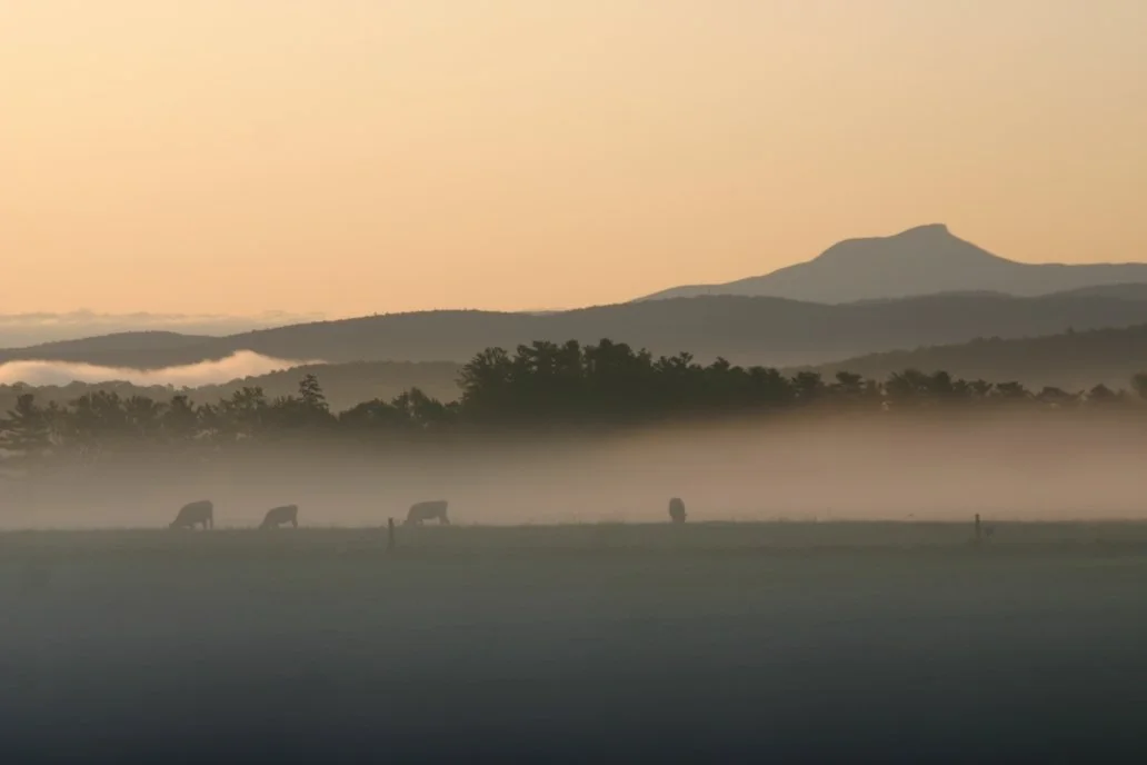 Pasture Songs: A Creative Soundmapping Experience