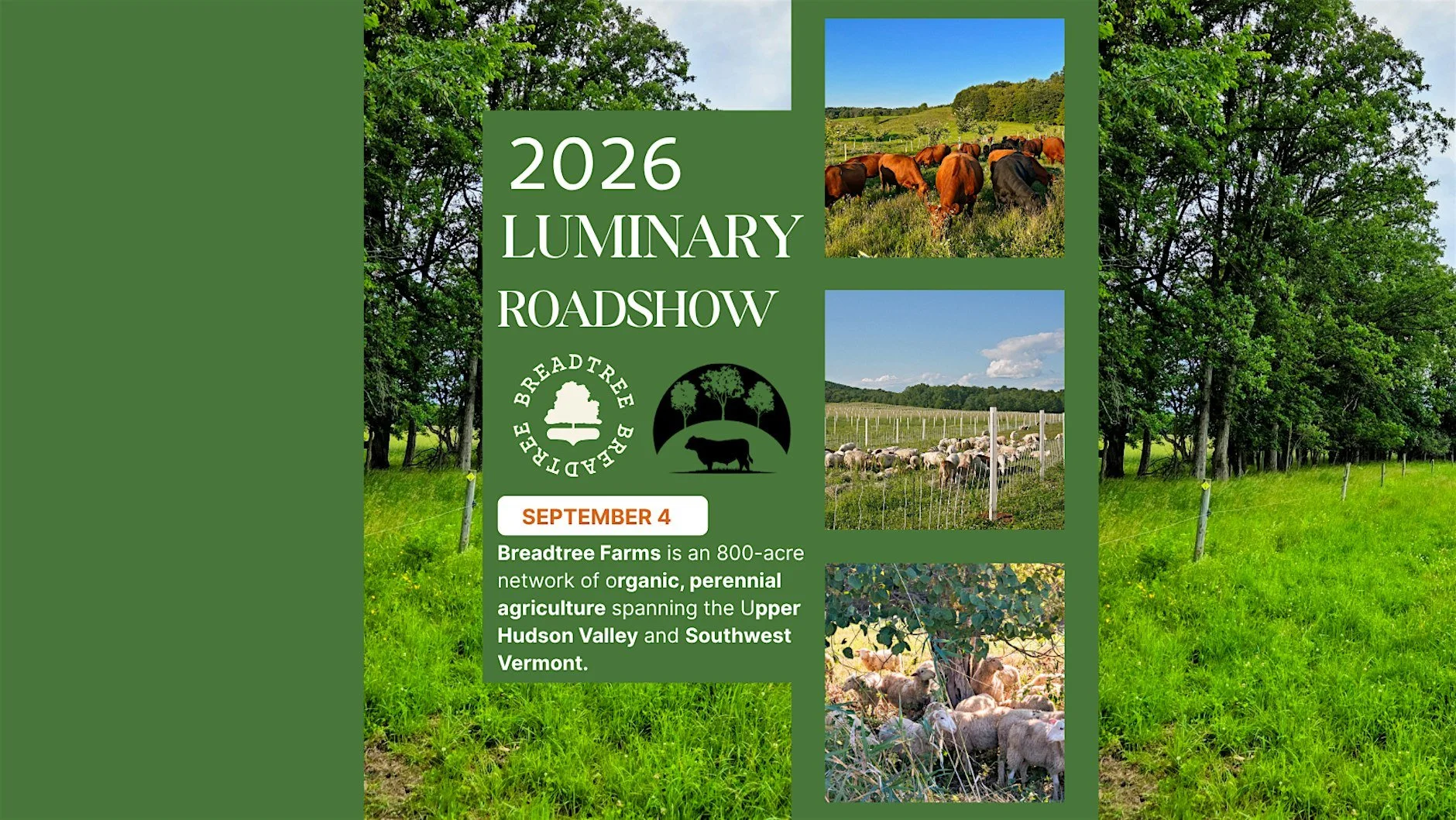 2026 New England Luminary Roadshow Series: New York