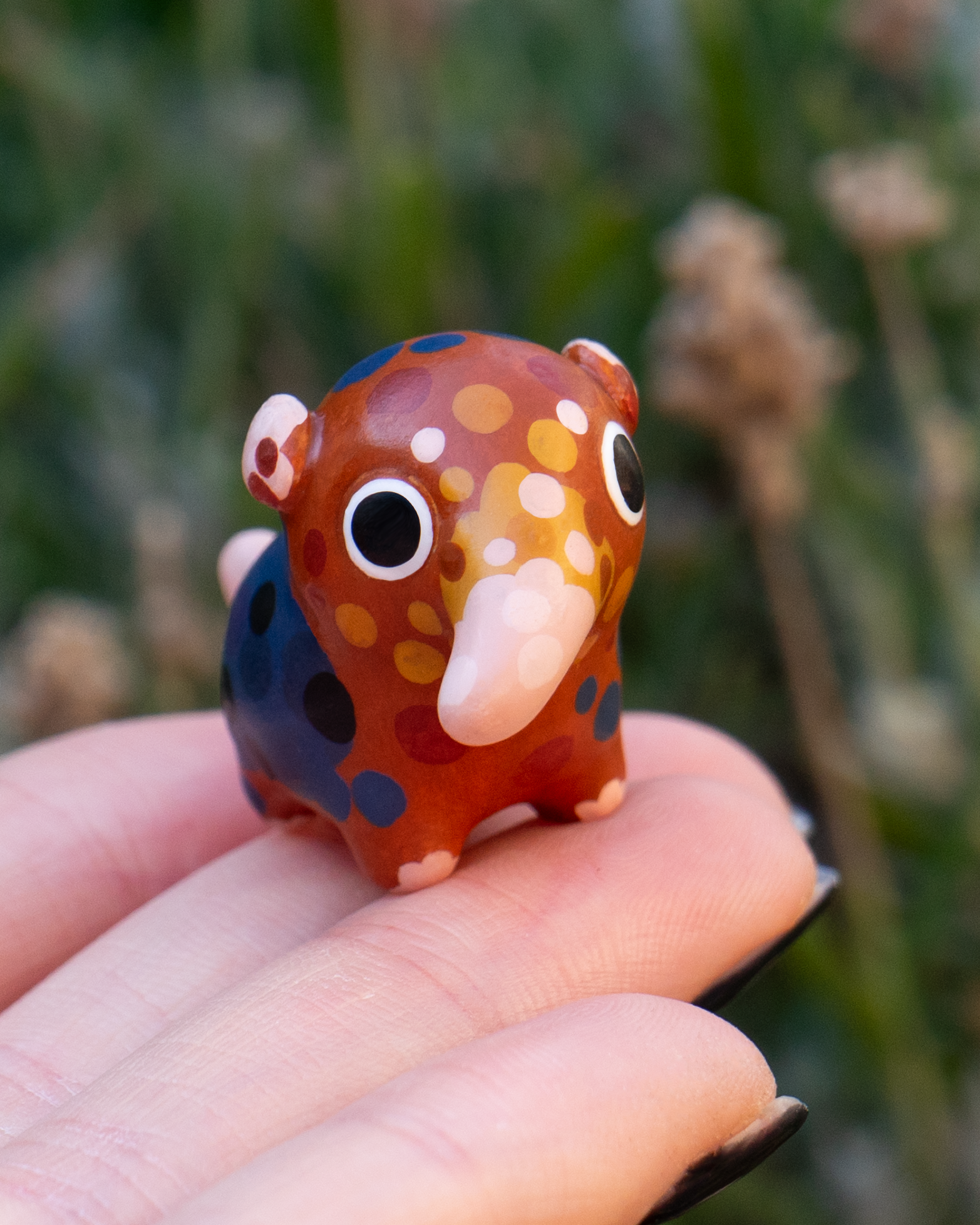 ELEPHANT SHREW B