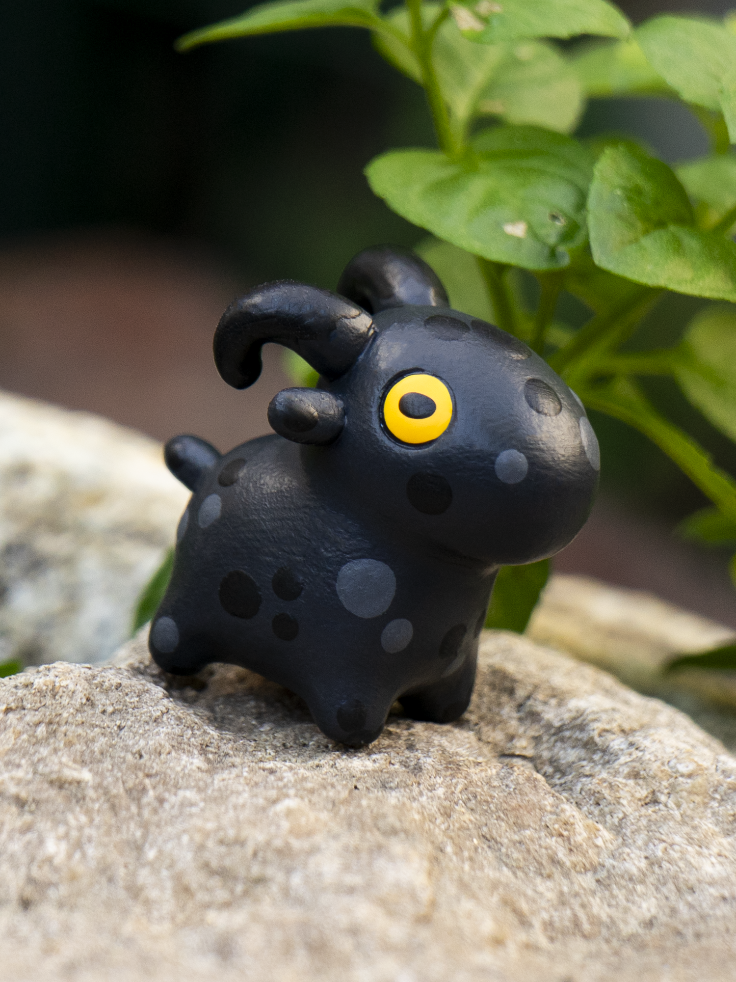 BLACK GOAT B