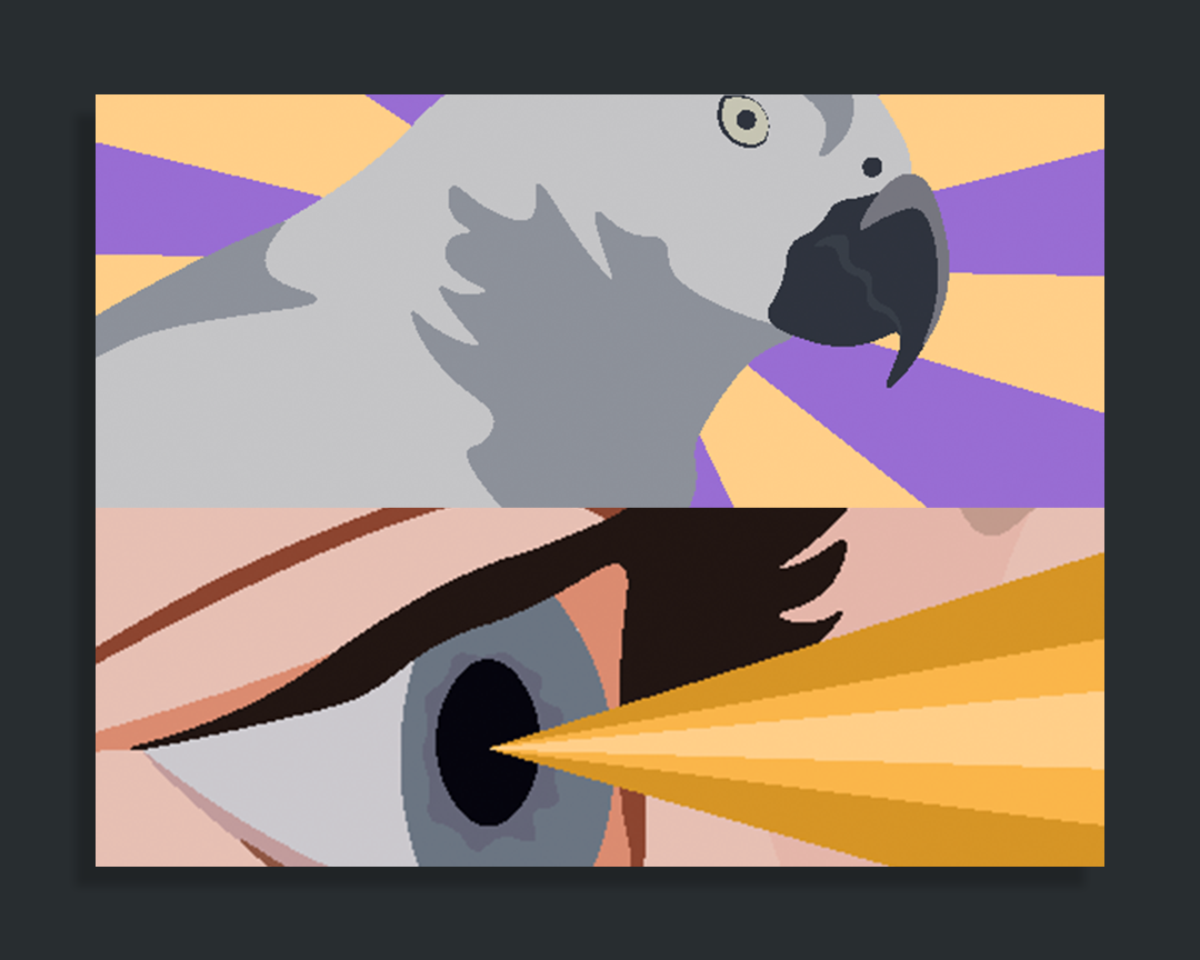 infographics-shadow.png