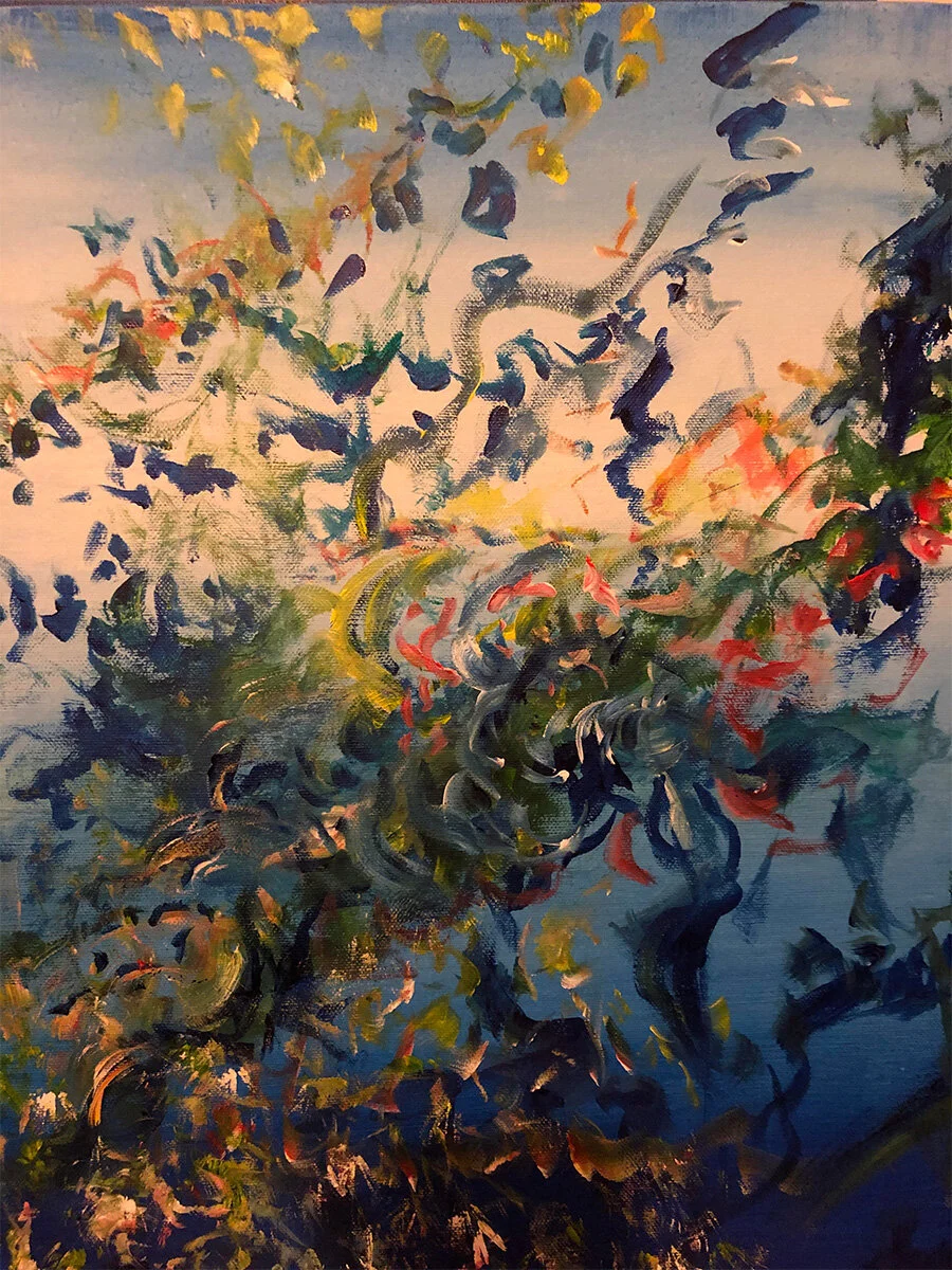 Timothy Layden - Scriabin Sonata N5