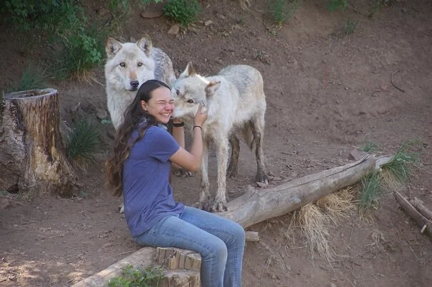 Call of the Wild - A Colorado Adventure and Wolf Conservation Trip