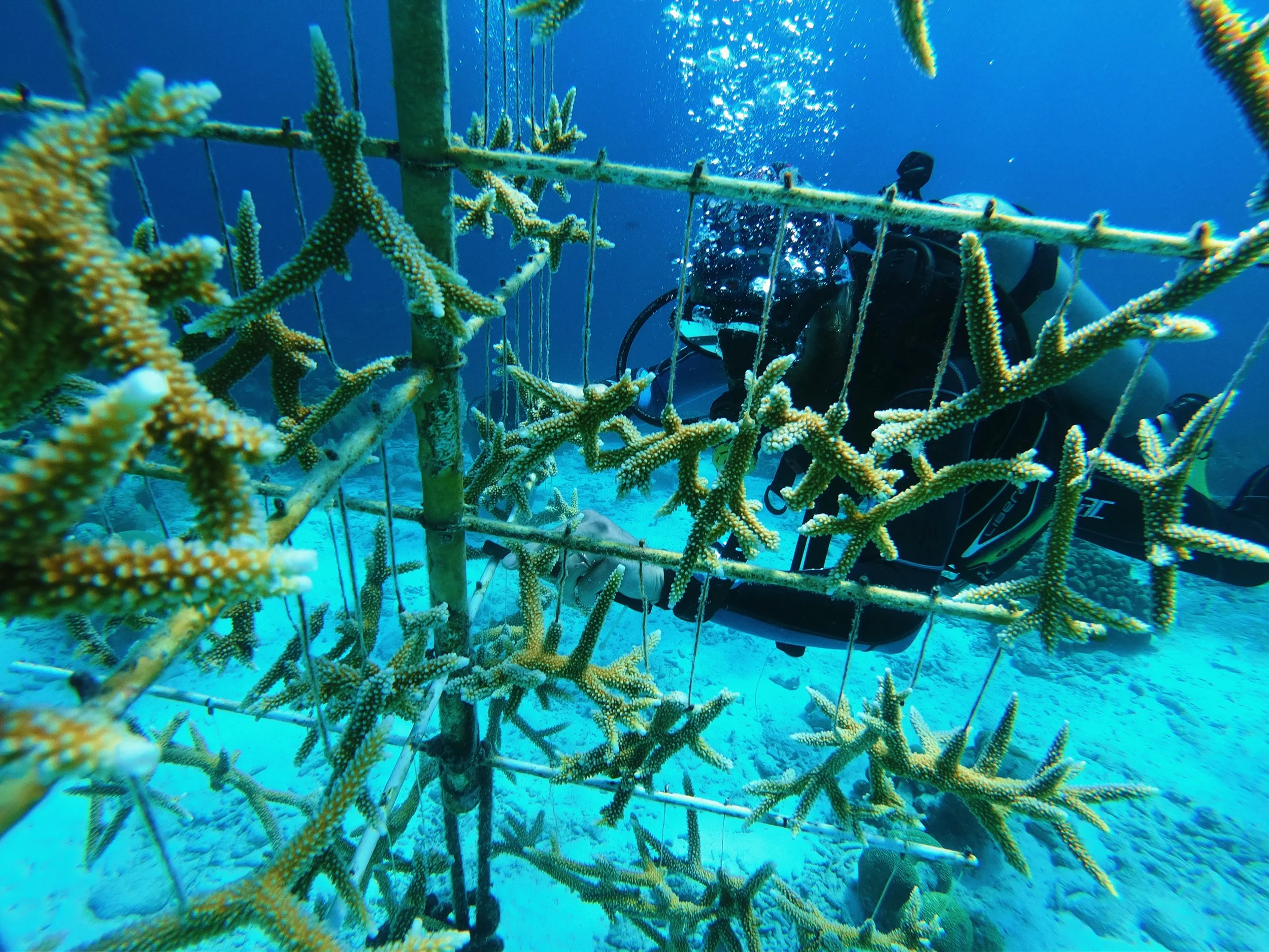 ALUMNI REFLECTIONS - FLORIDA: CONSERVATION IS KEY BY JORDAN