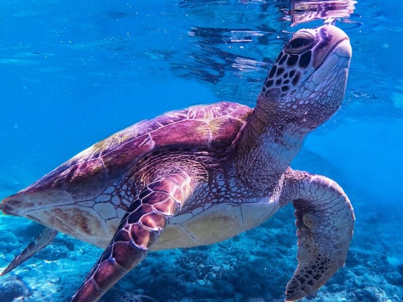 Educational Teen Travel - We have got you covered!