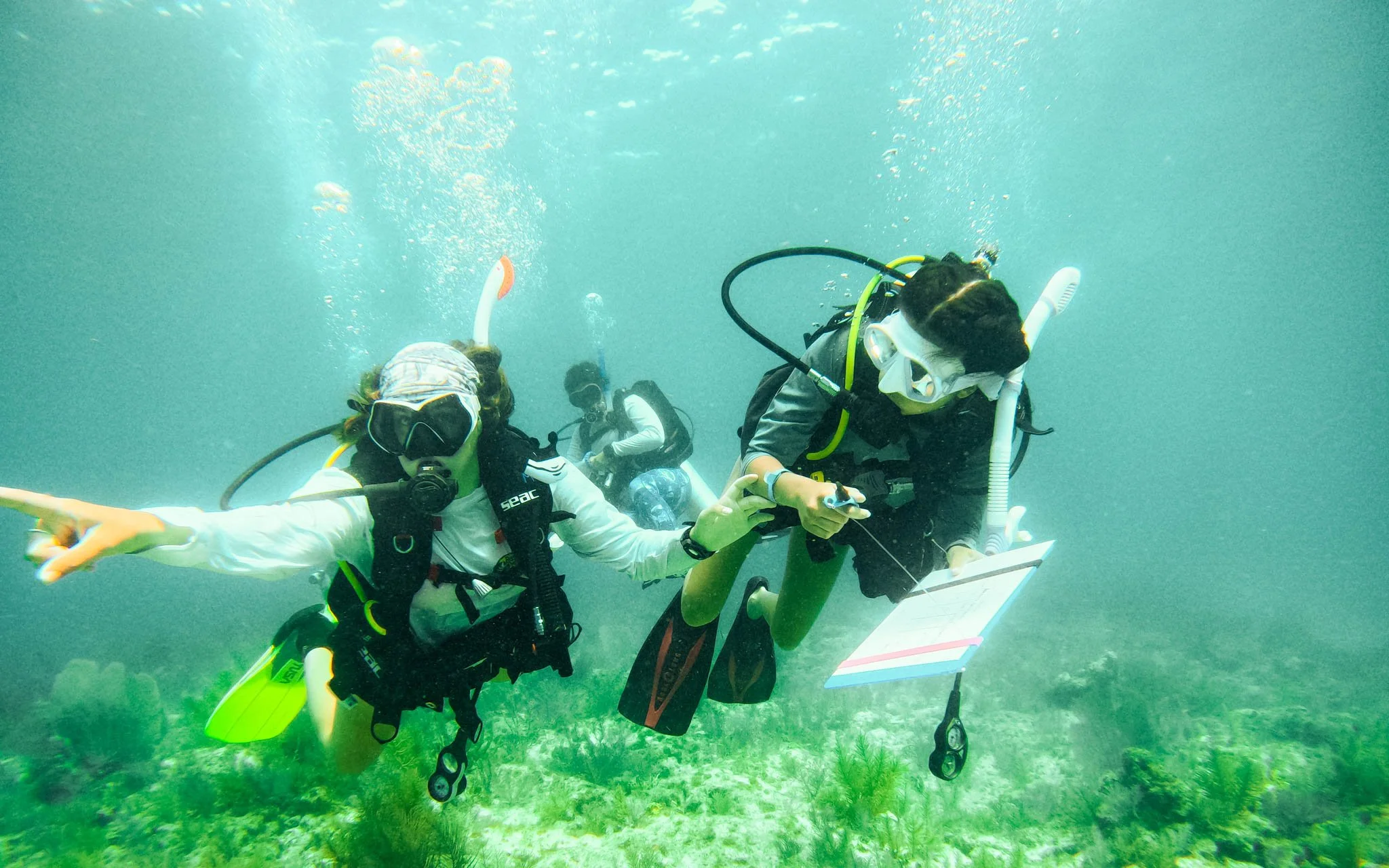 Teen Travel Programs That Stick — In College, Career, and Beyond