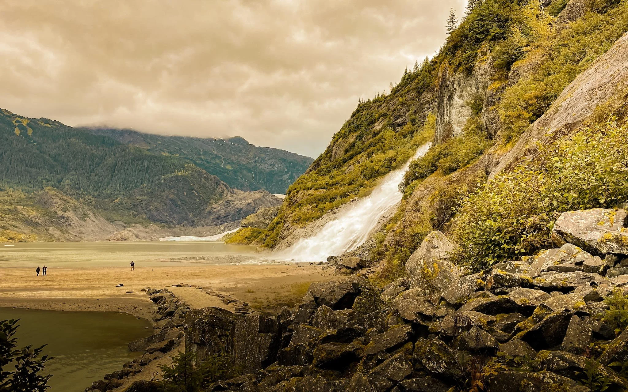  Endless opportunities to explore the Alaskan waters and see wildlife. 
