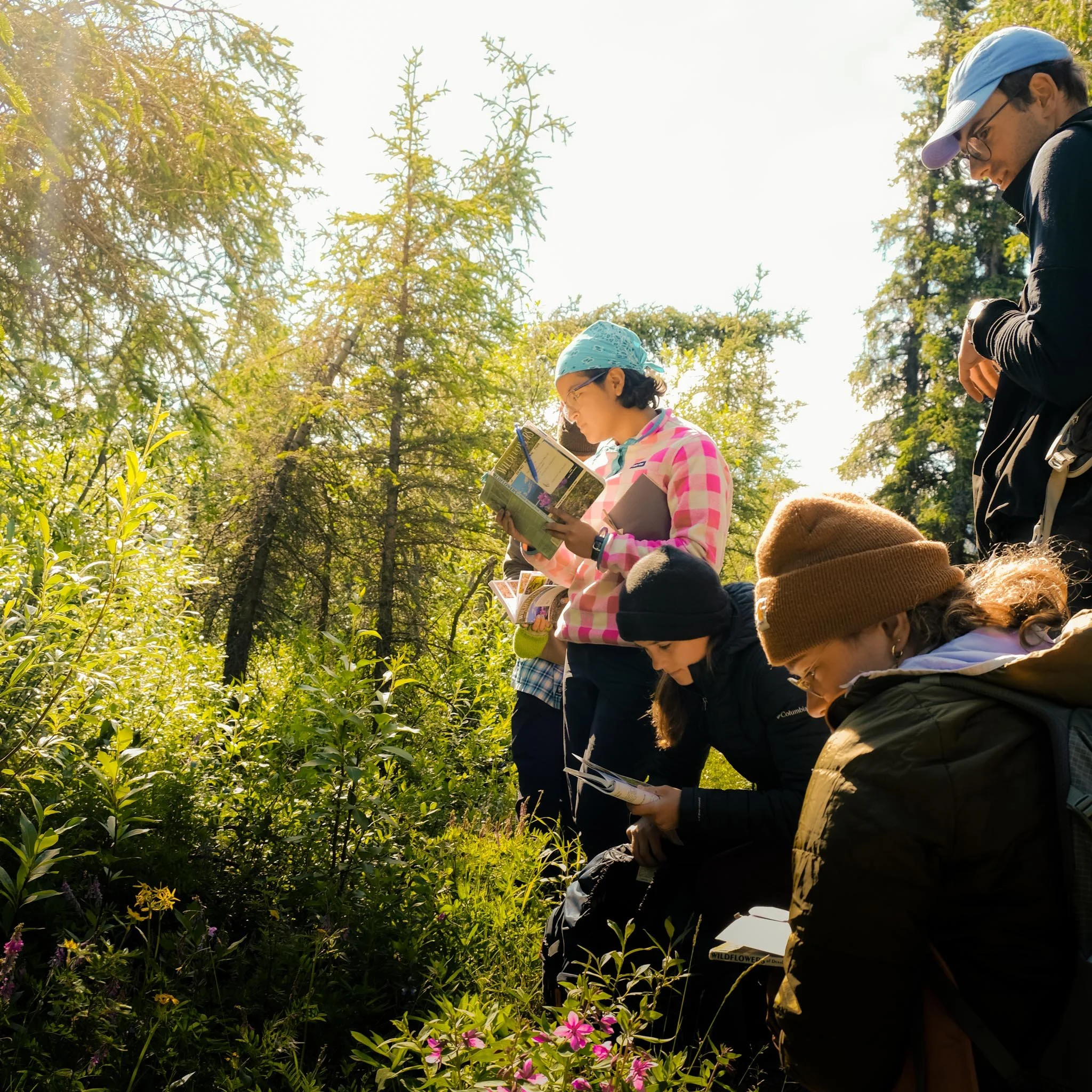 Days 13–14: Back to Anchorage and Group Celebration