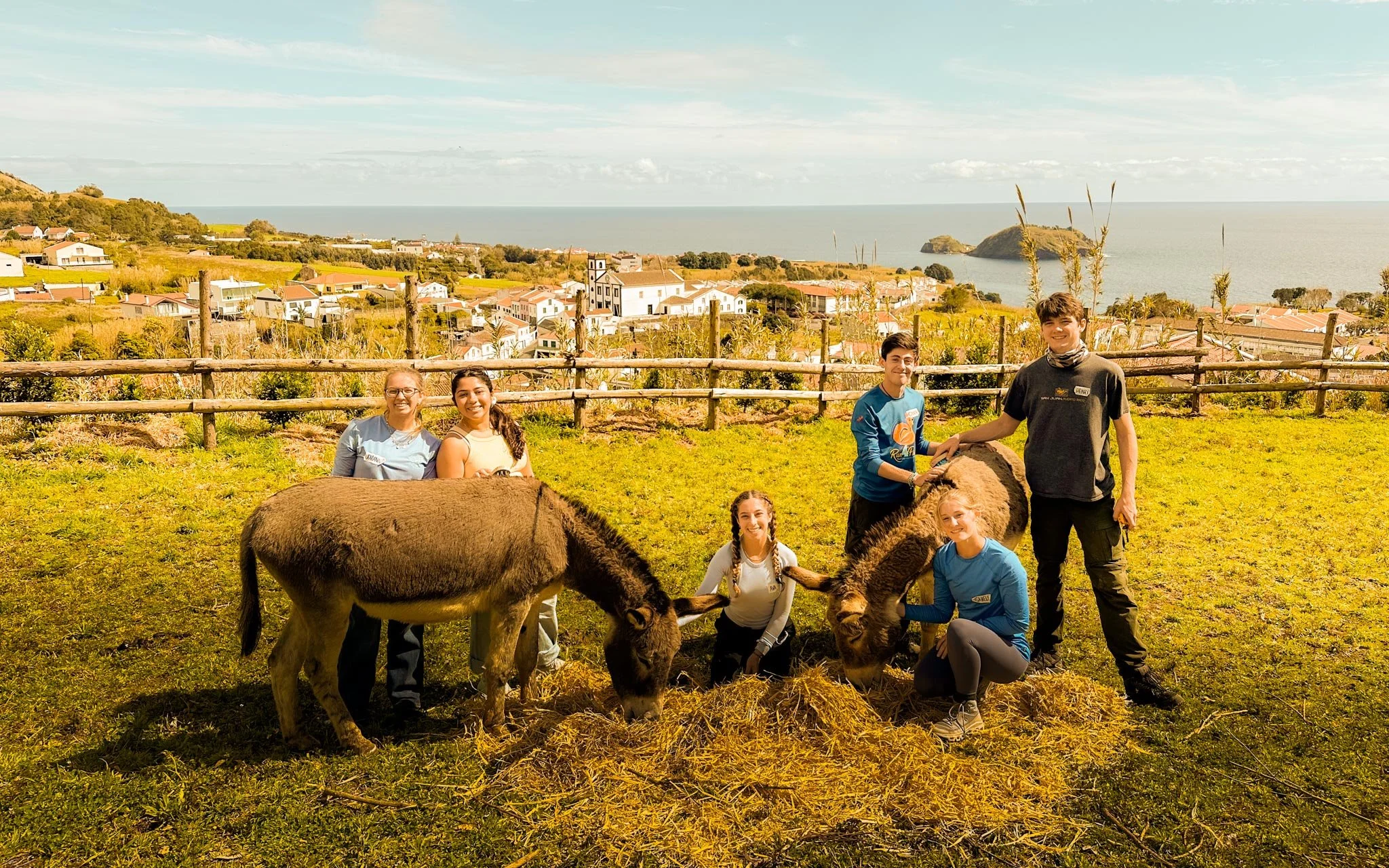  Feeding and caring for donkeys at the sanctuary. 