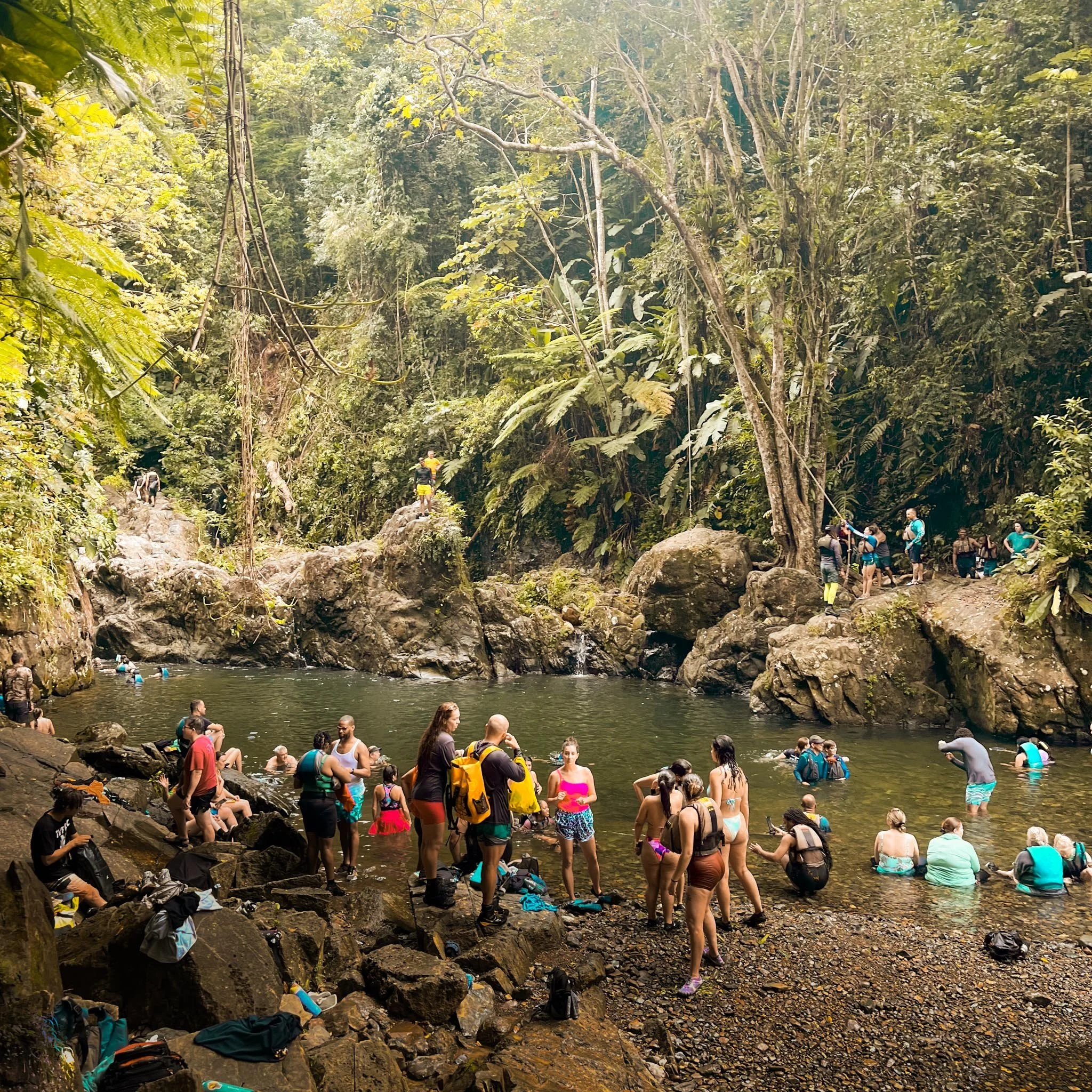 Days 1–2: Travel &amp; El Yunque Hike