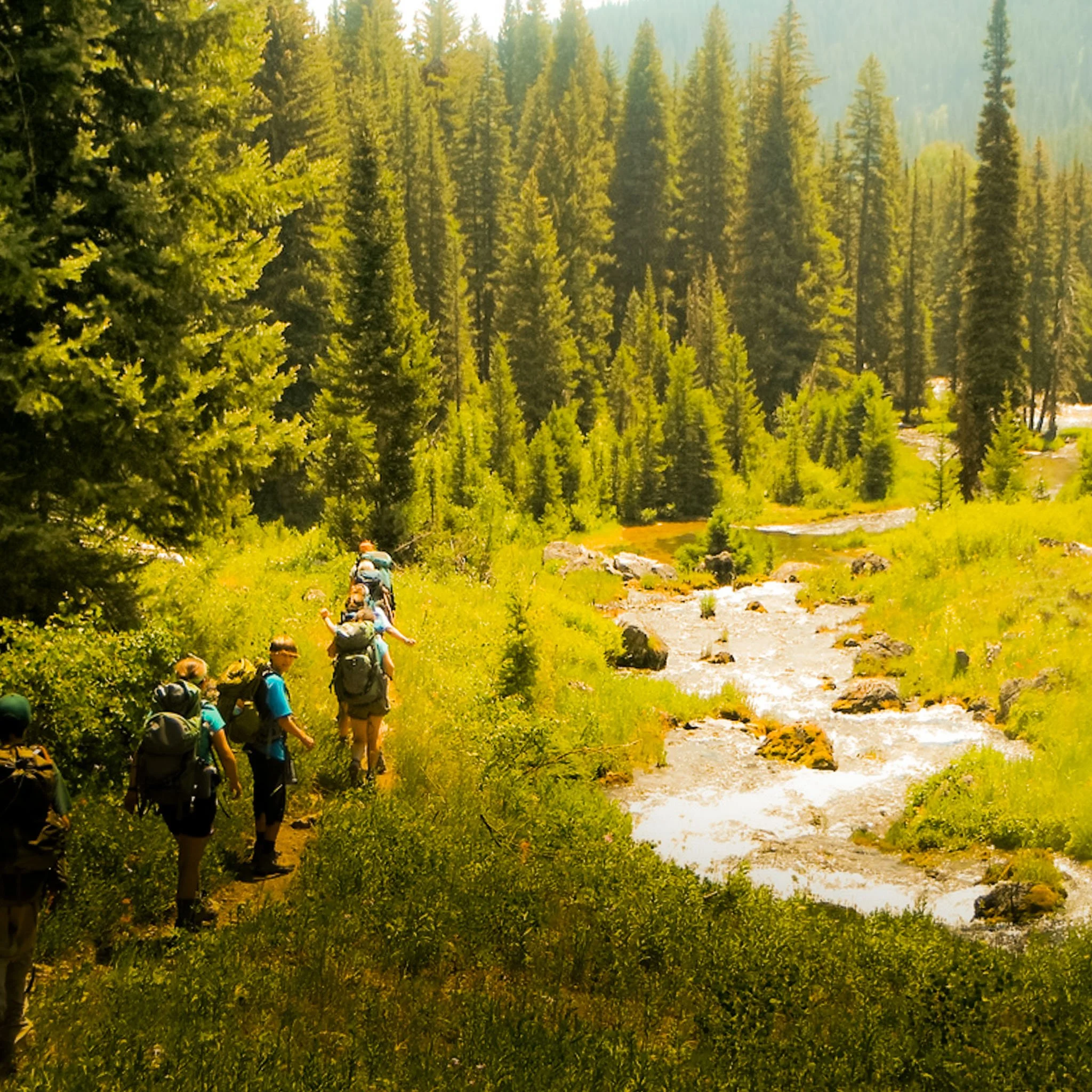 Days 10–12: Restore Trails &amp; Work with Local Service Partners