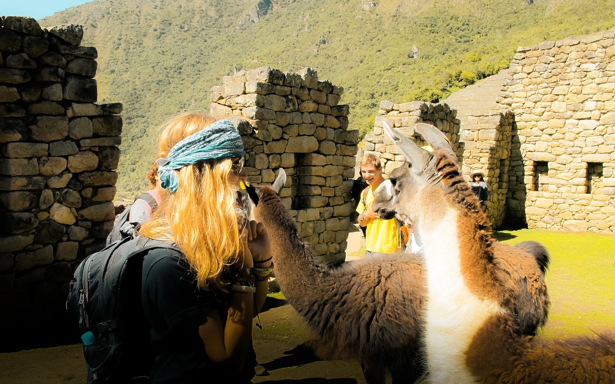  Being nose-to-nose with local wildlife at Incan ruins. 
