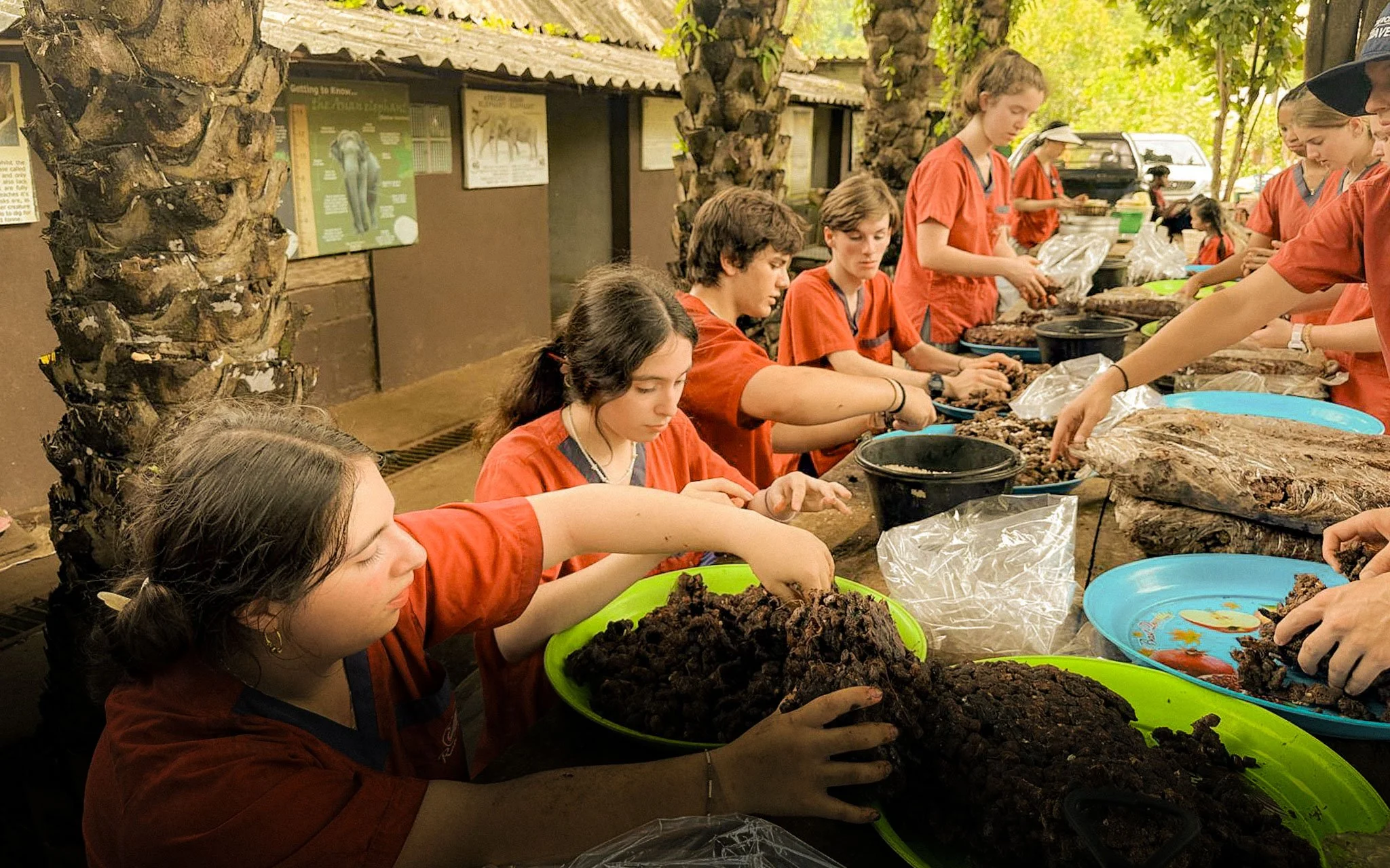  Making elephant snacks and learning from local caretakers. 