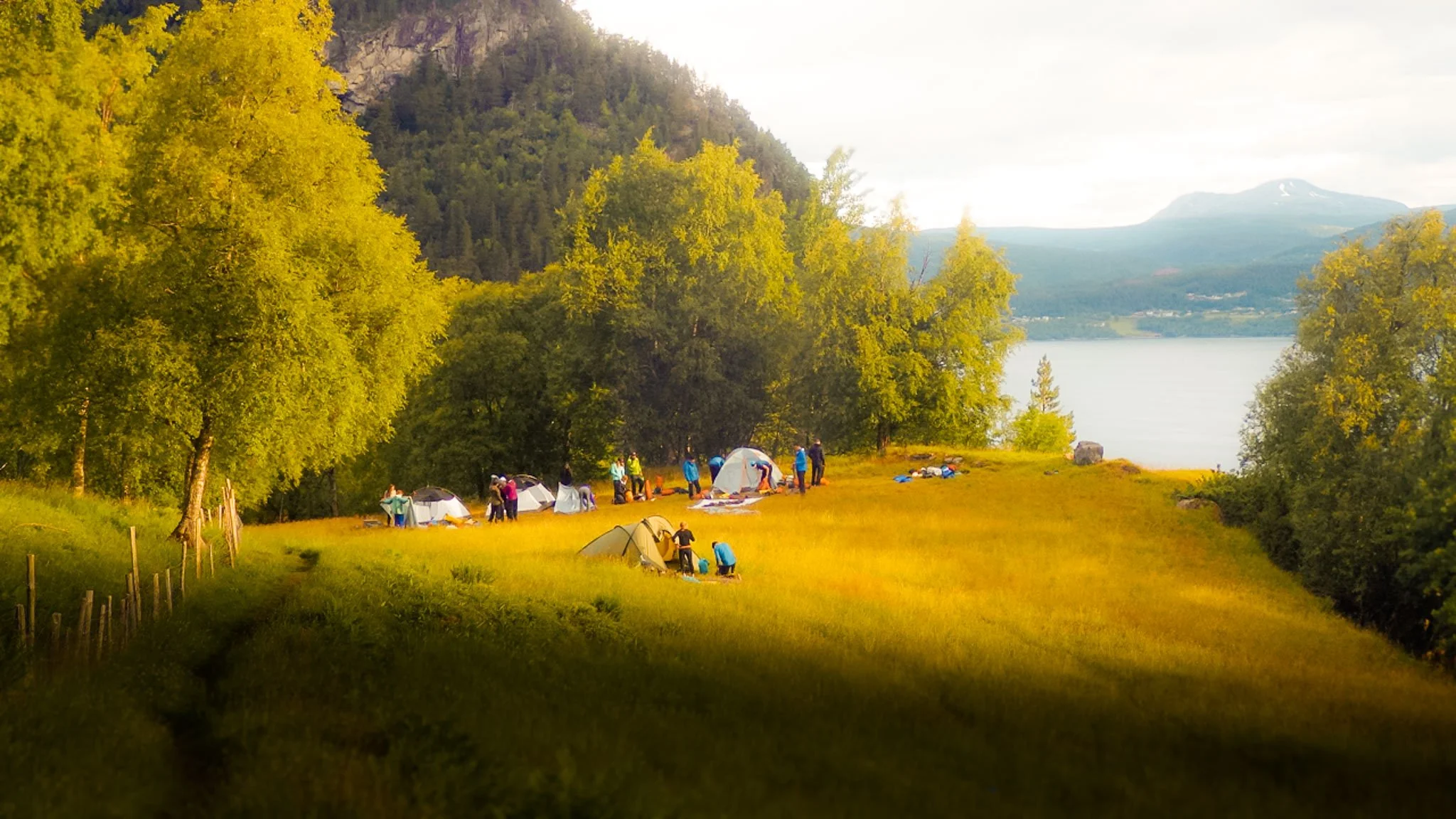  Camping in a wide field above the fjord. 