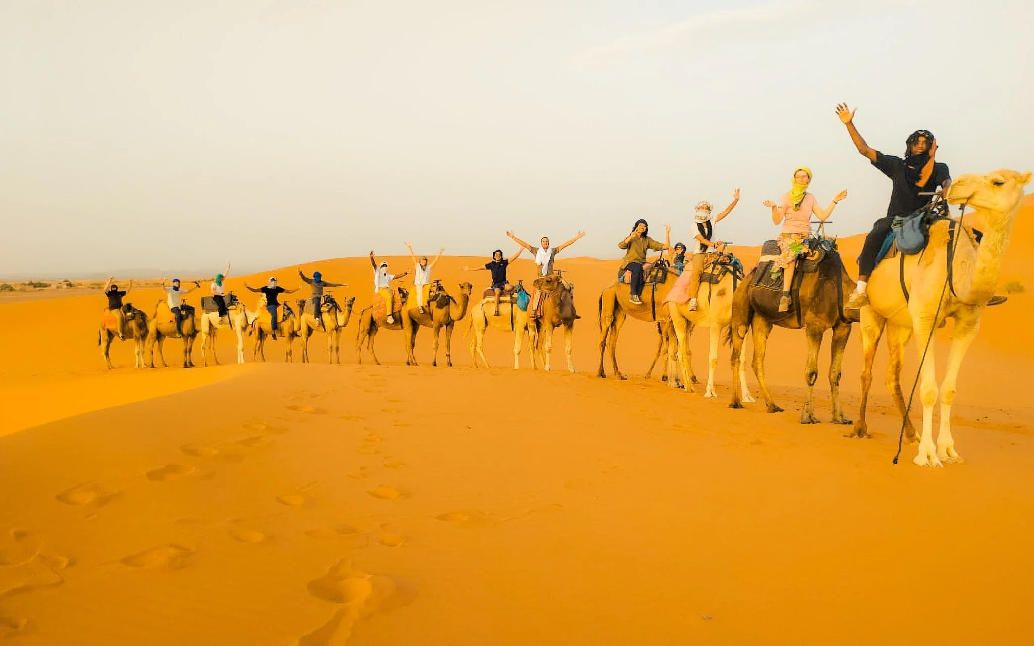  Camel trekking across the Sahara dunes. 