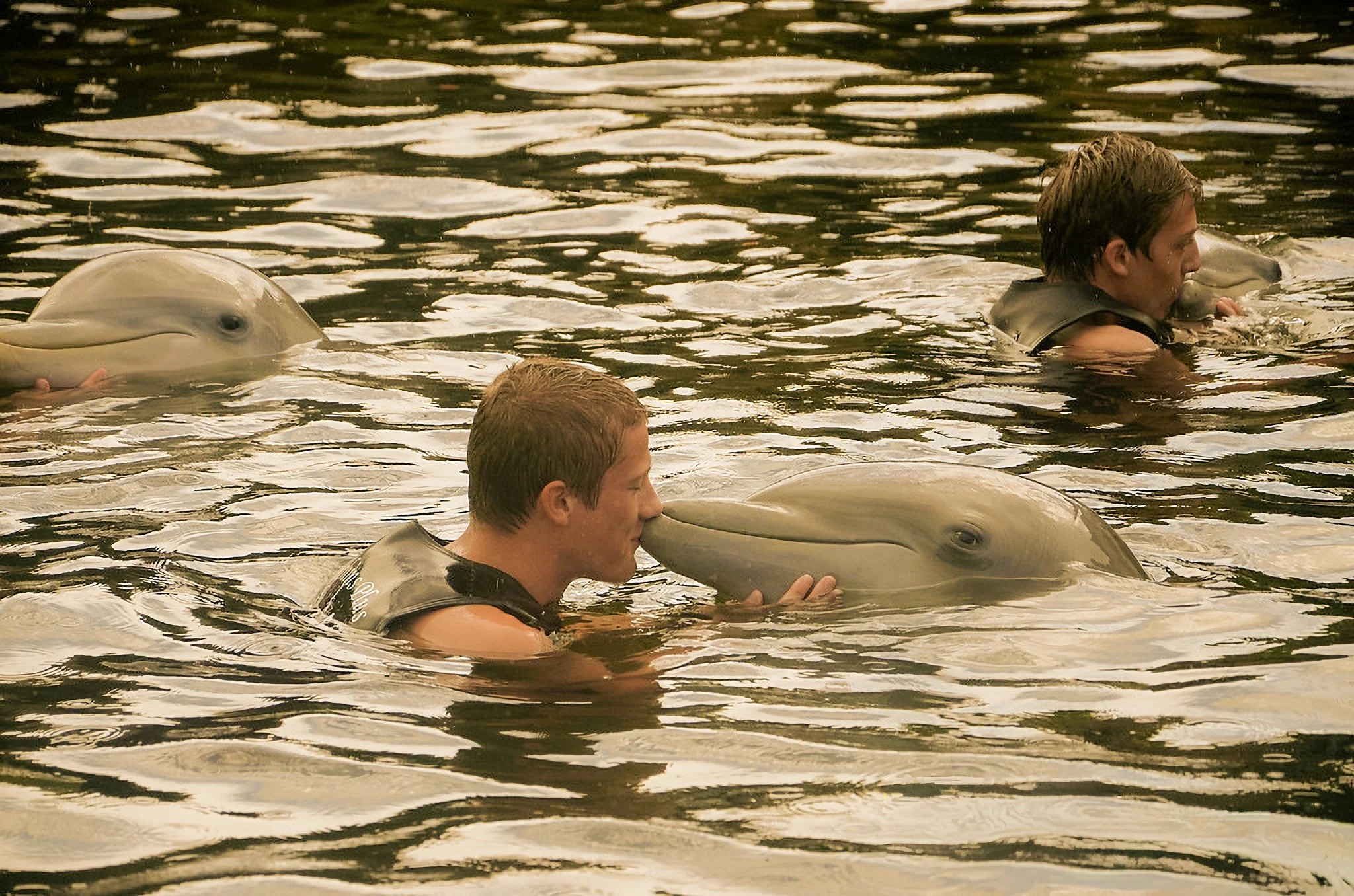 Day 10: Collect Data About Dolphins with Marine Biologists