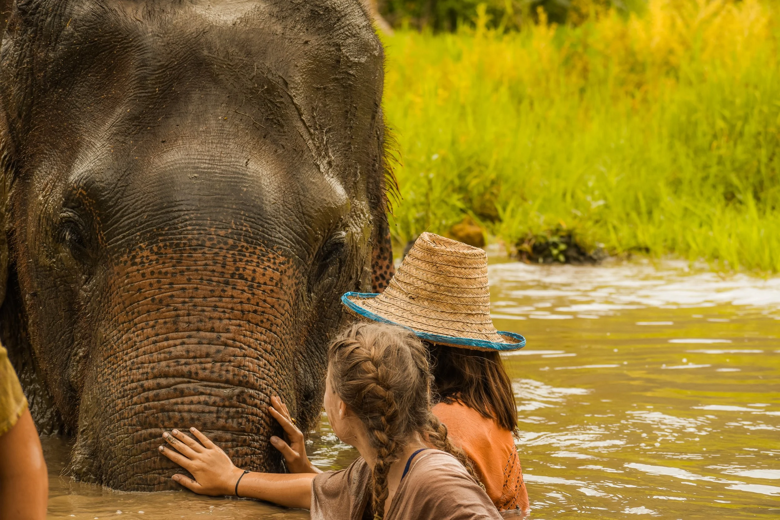 3 Things Most Families Don’t Know About Our Thailand Trip