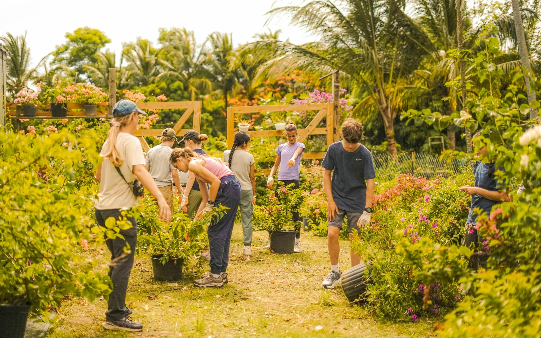 Teen Travel Scholarships and Financial Aid: How to Make Programs Affordable