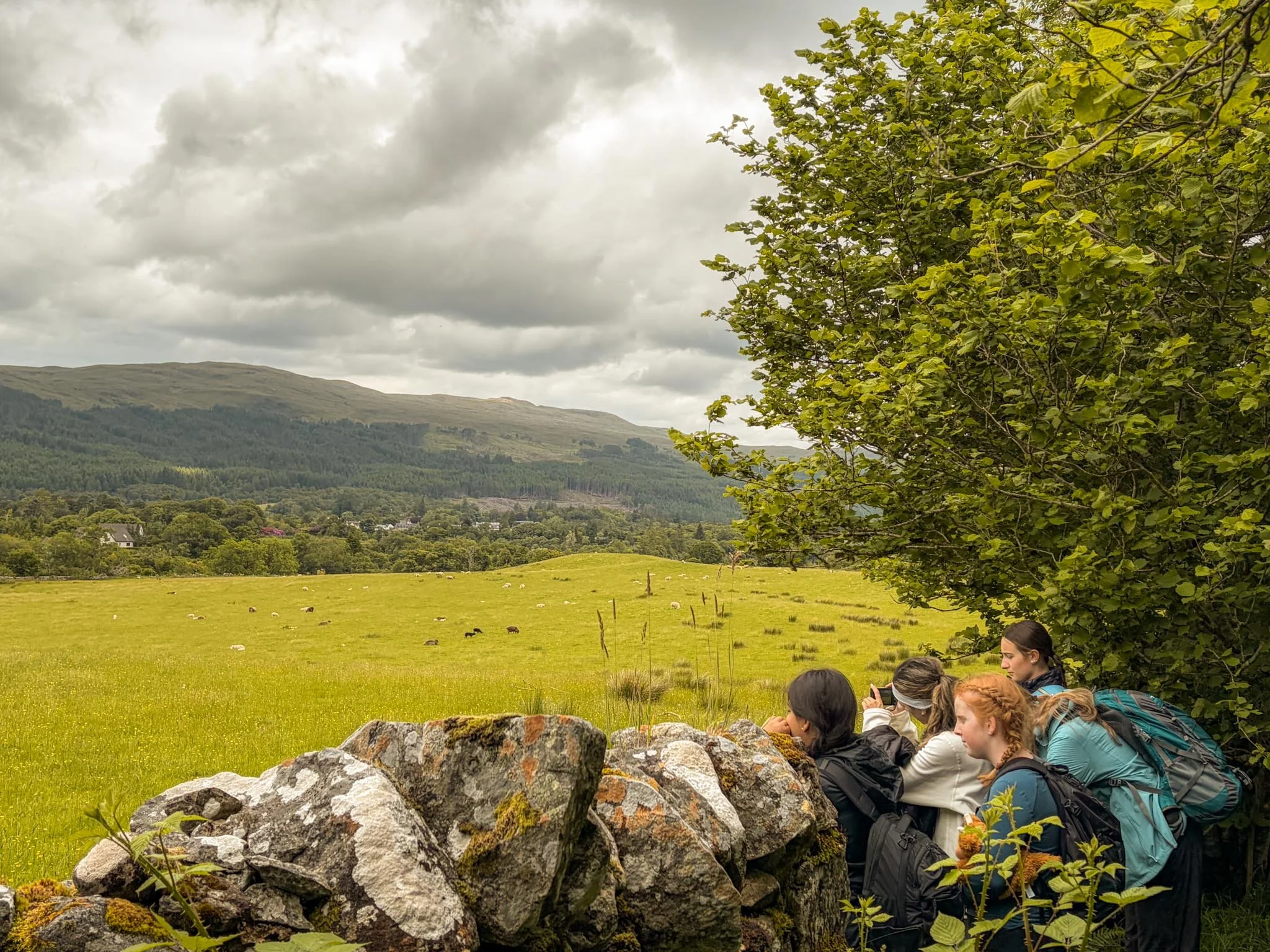 Day 4: Hike Glencoe’s Trails &amp; Meet Highland Cows