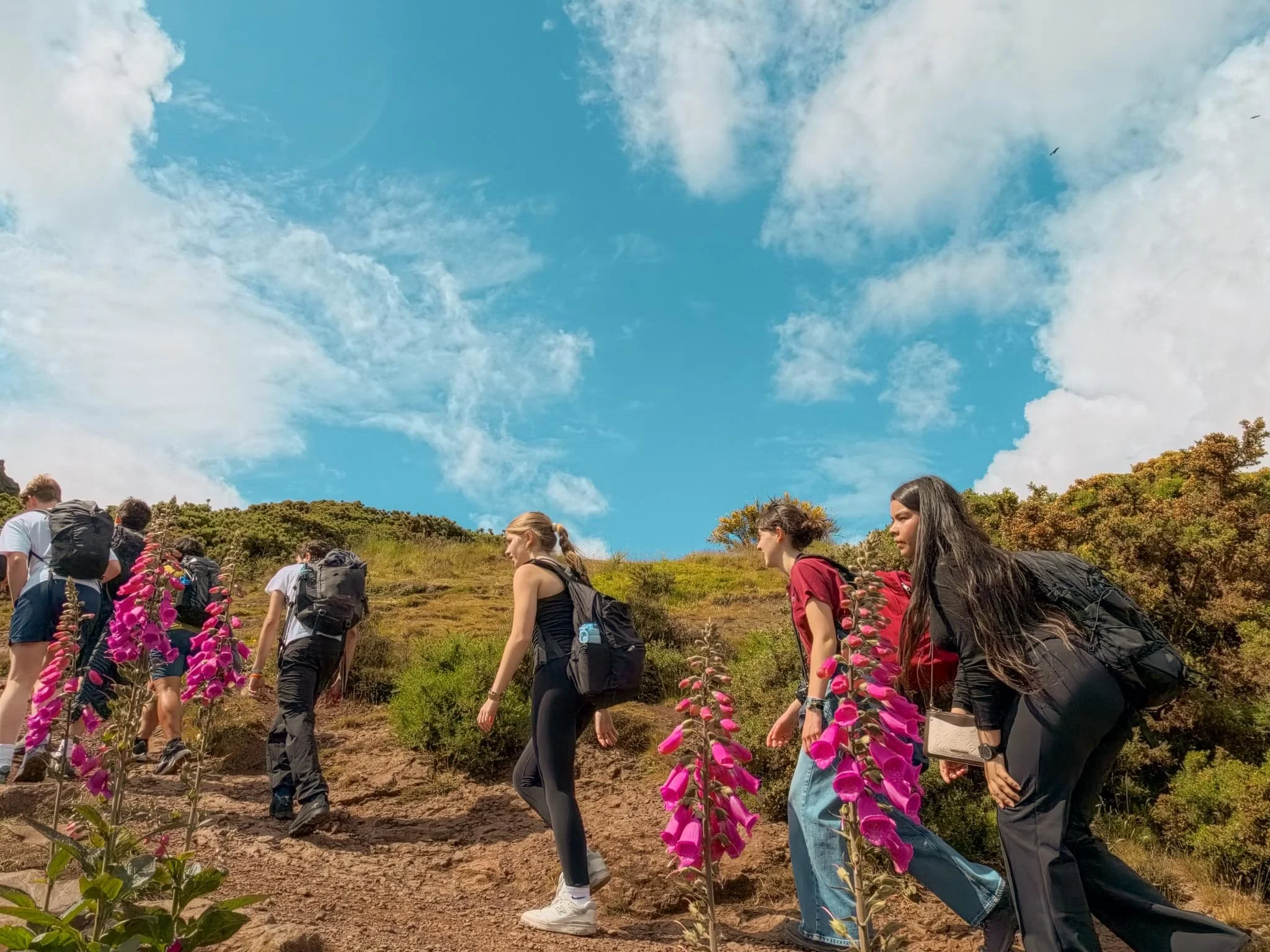Day 3: Walk the Royal Mile &amp; Explore Edinburgh