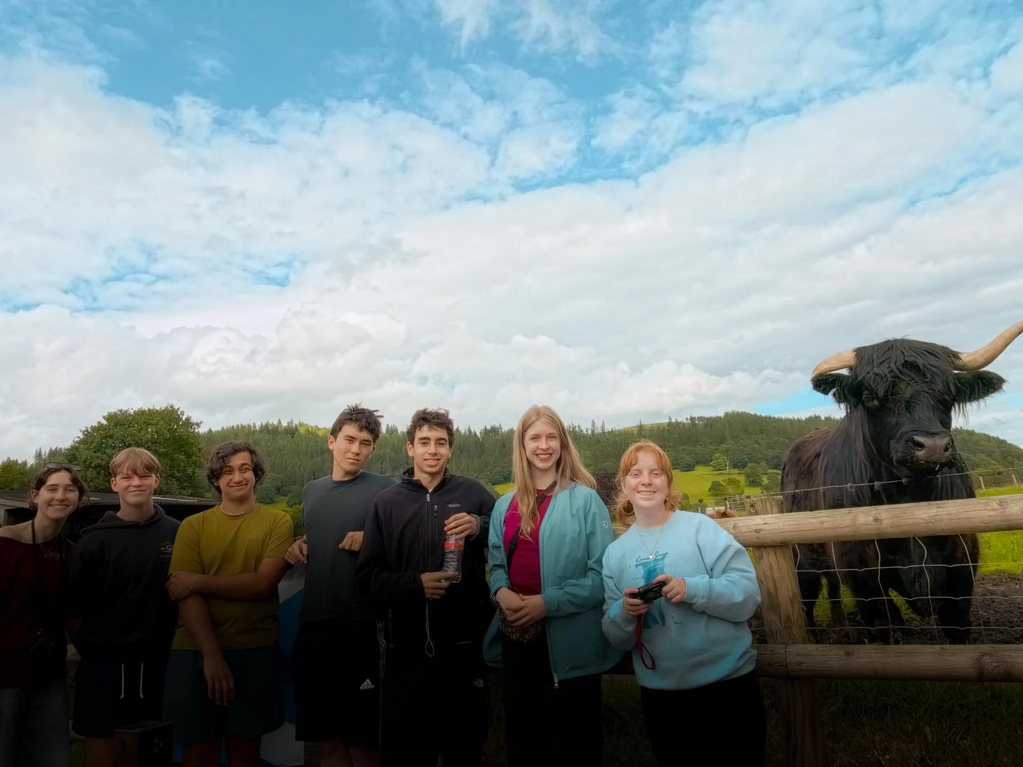  Meeting Highland cows in Scotland. 