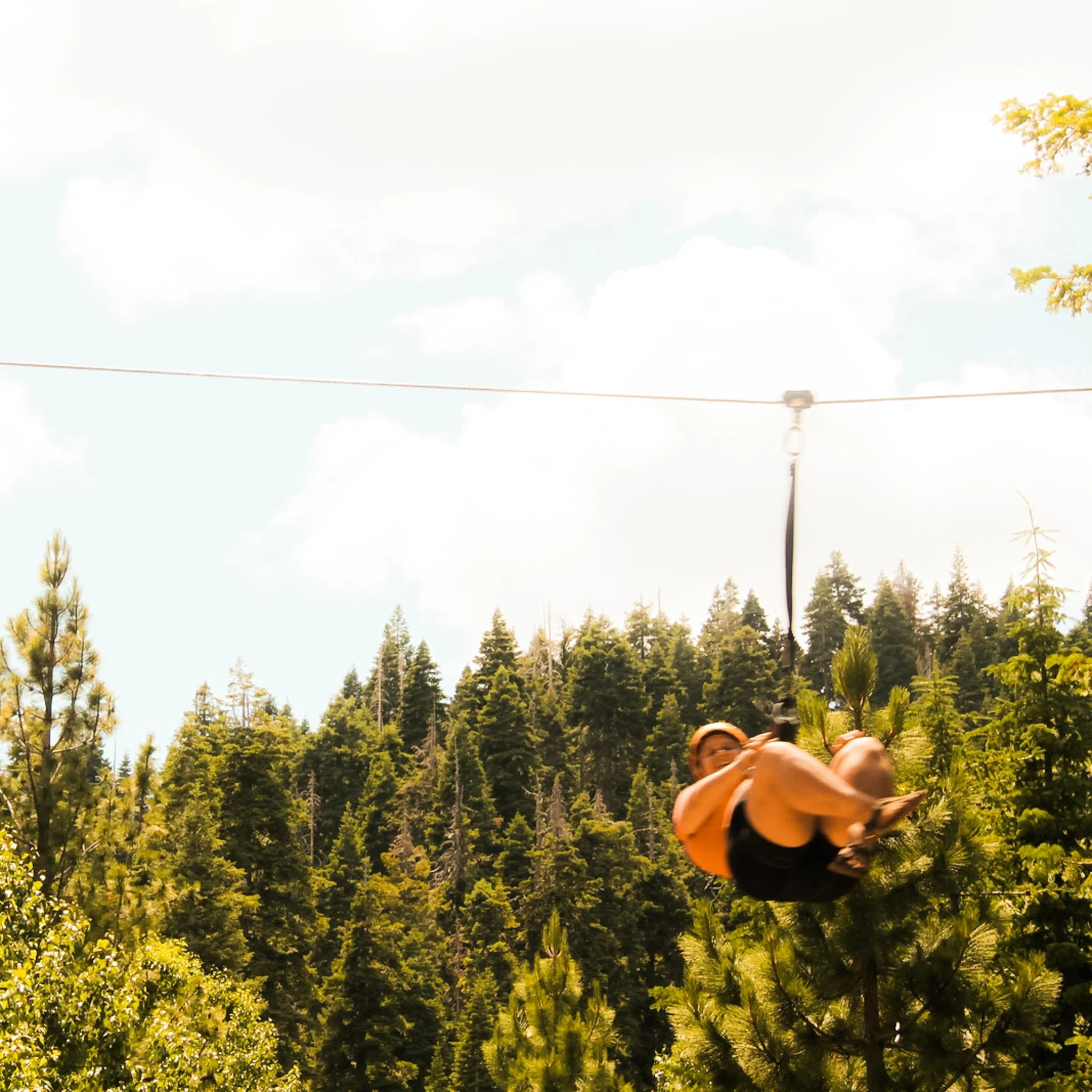 Day 4: Tackle a Challenging Treetop High Rope Course