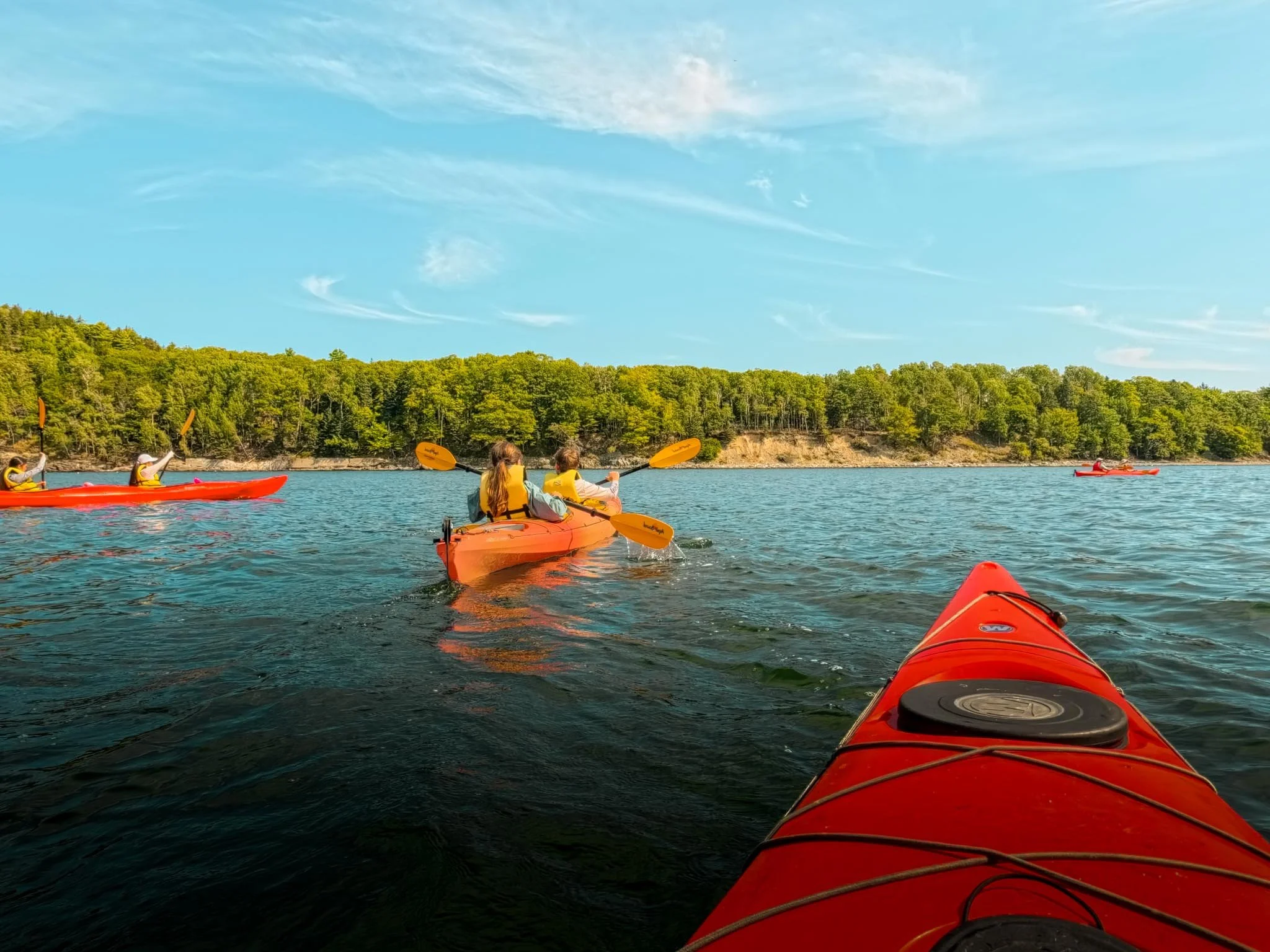  Paddling the Acadia coastline, weaving through sea caves and rocky inlets. 