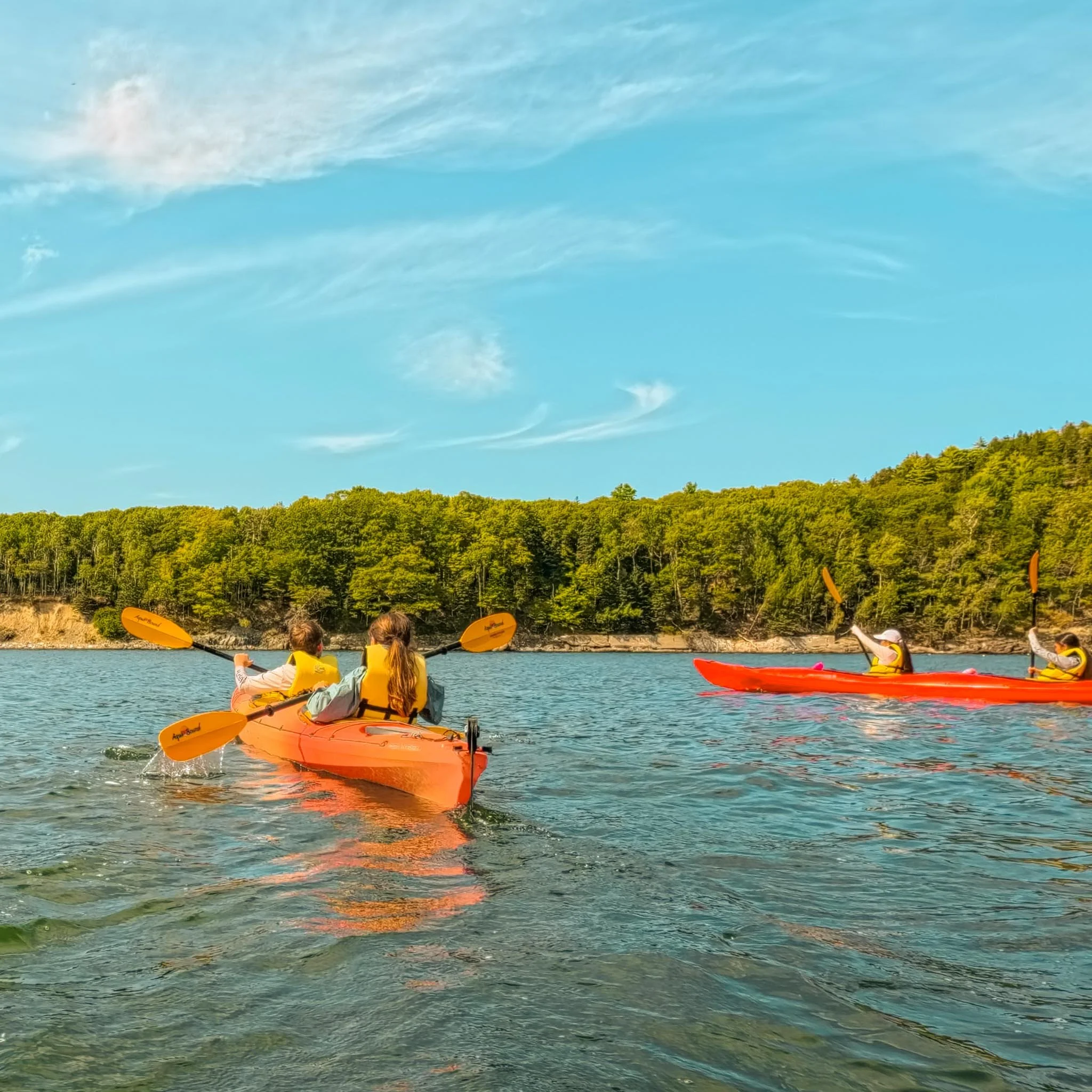 Day 2: Paddle the coastline of Acadia