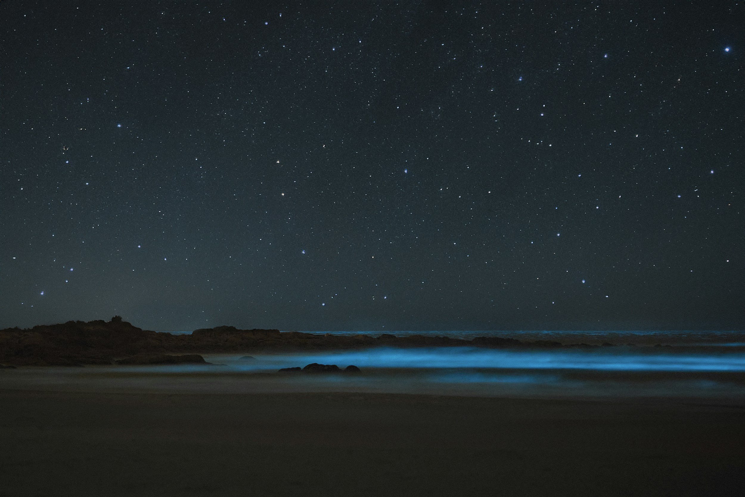 Day 10: Bioluminescent Kayaking