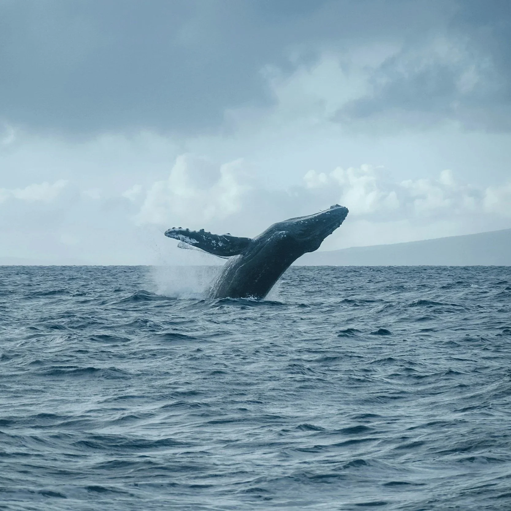 Day 3: Whale Watching Boat Trip and Reykjavik Folklore Tour