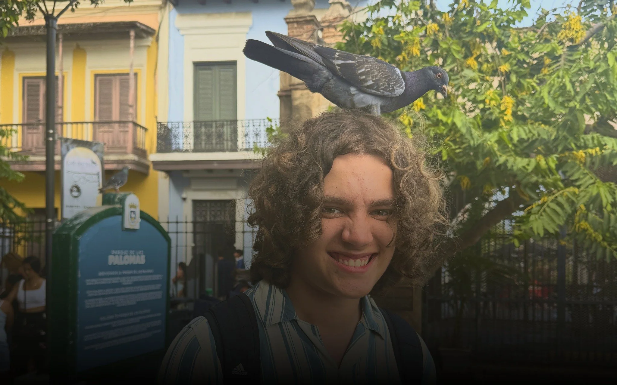  Making friends along the streets of Old San Juan. 