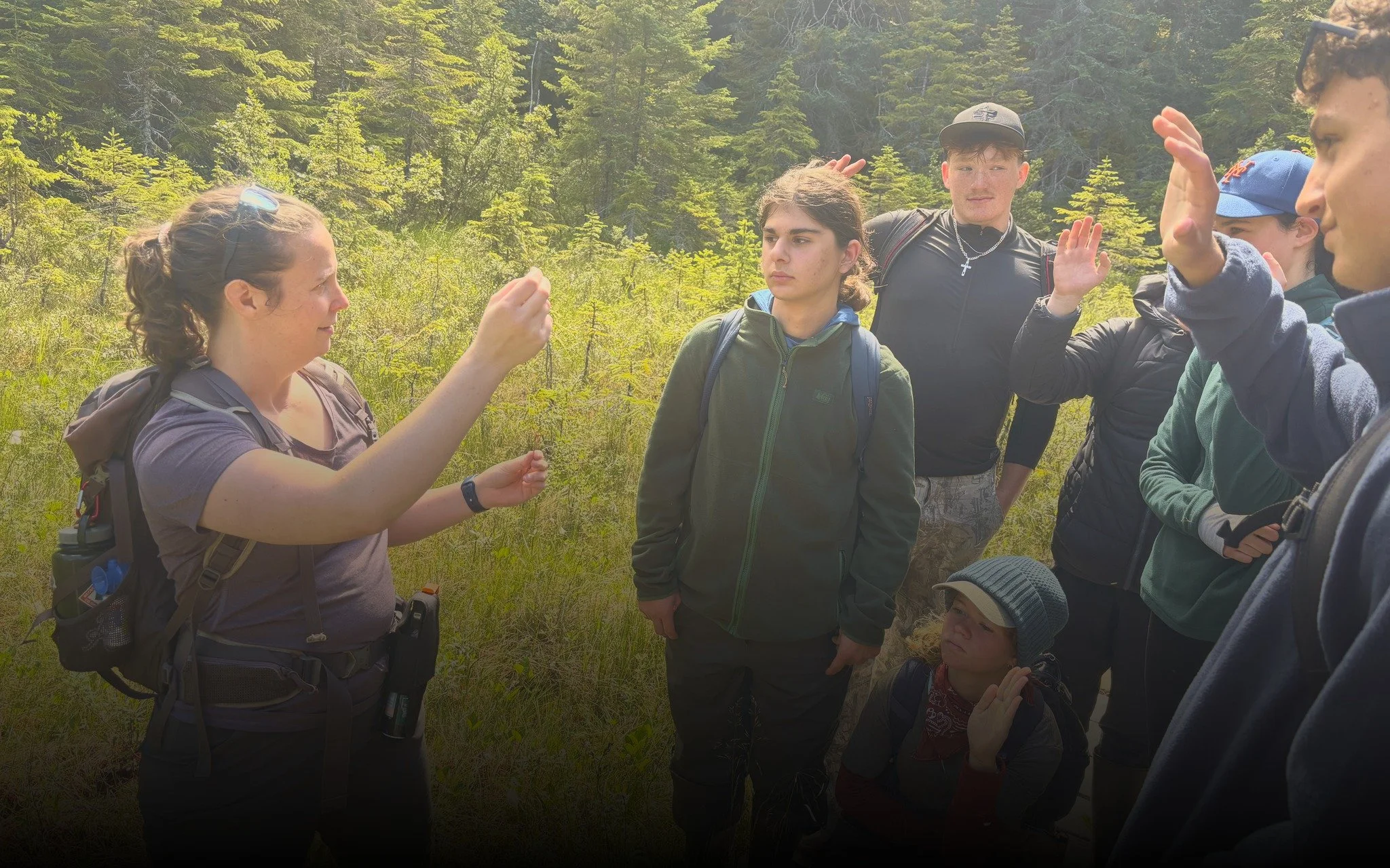  Identifying plants and tracking changes in the forest. 