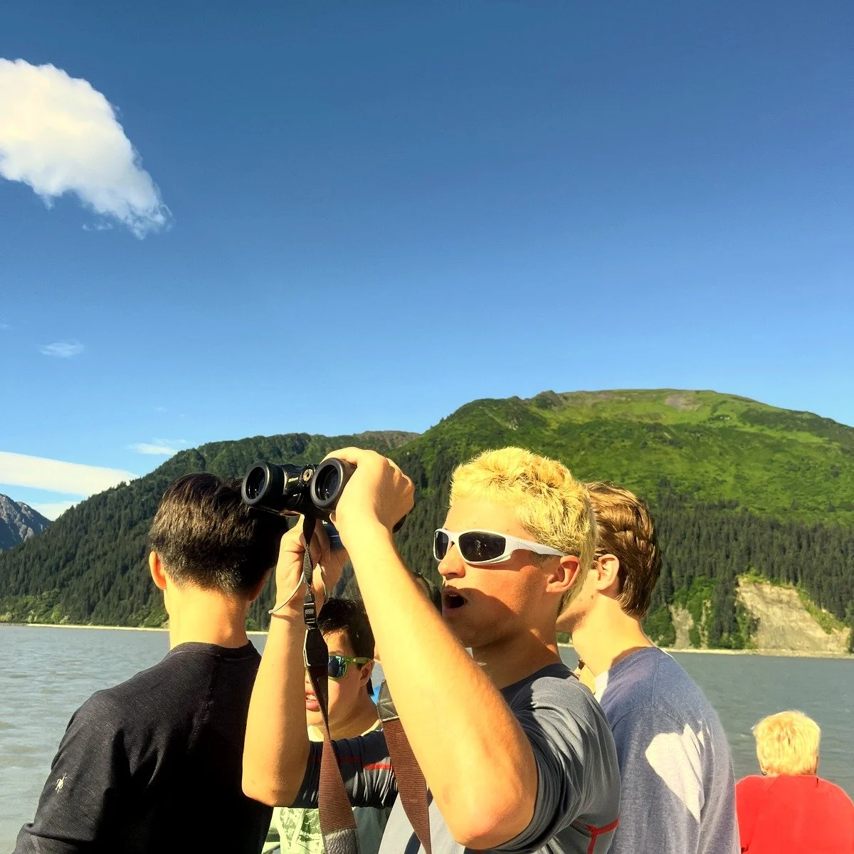 Day 6: Wildlife Boat Tour through Kenai Fjords National Park