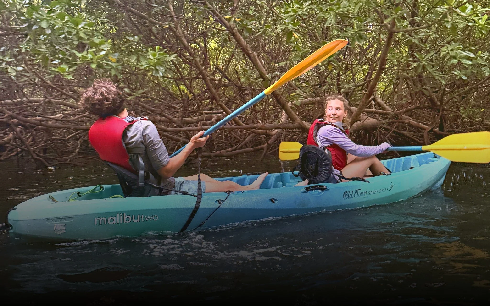  Kayaking the Mangroves 
