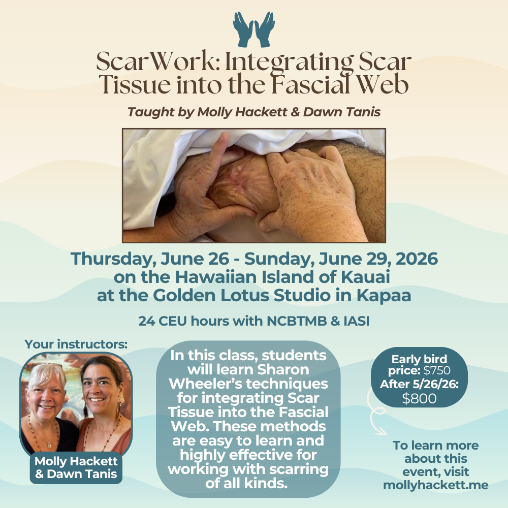 Social - Molly Hackett - Hawaii Scarwork Class Flyer June 2026.png