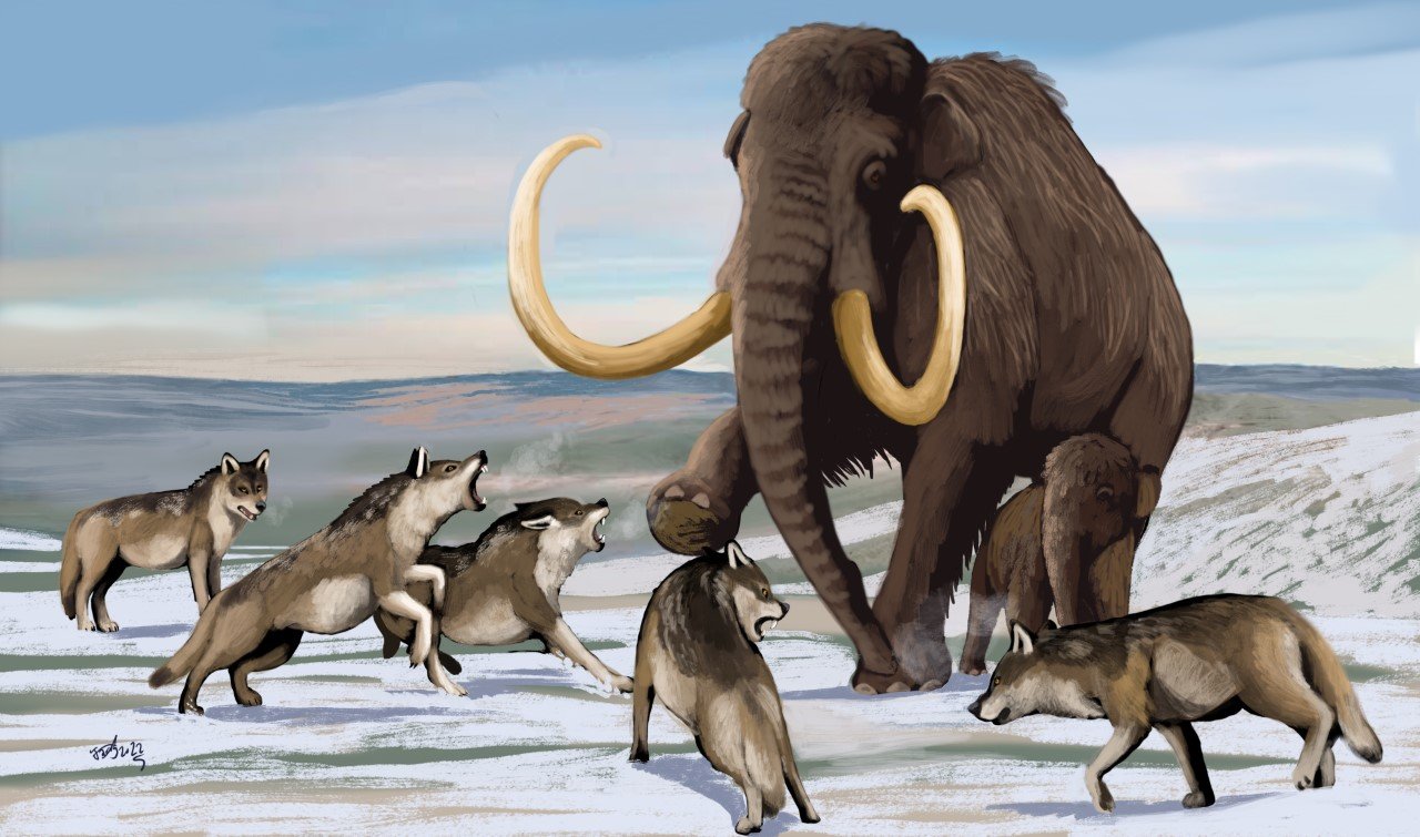 Changing the Guard: Extinction and Migration in Ice Age America — The  Extinctions