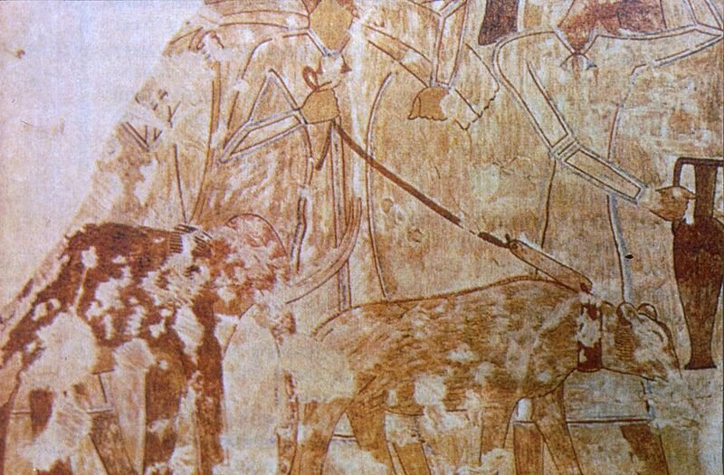 Elephants of the Aegean - Dwarfs and Giants of the Ancient Sea