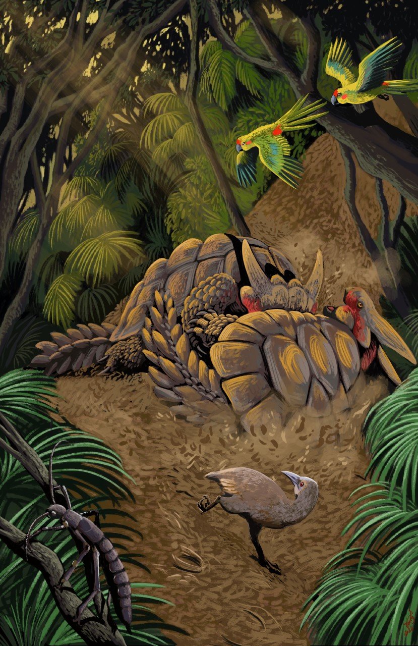 Isles of the Tasman Sea Part I Lord Howe — The Extinctions